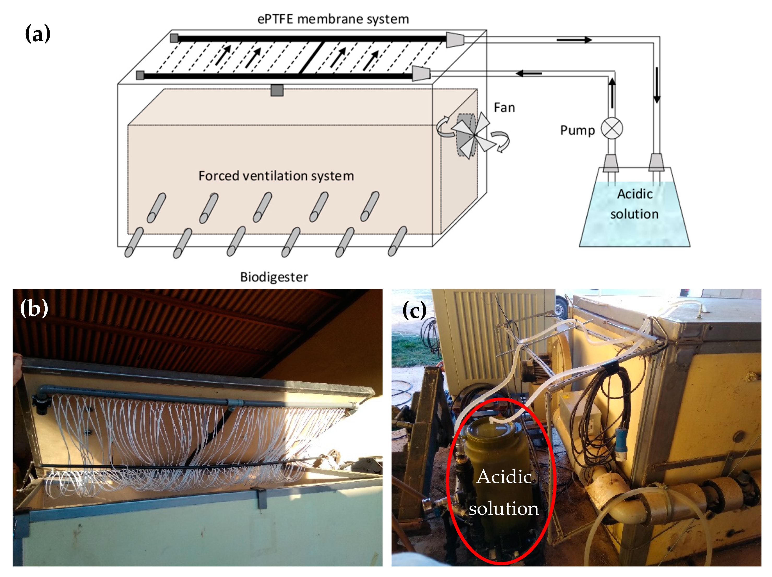 Agronomy 11 02384 g001 Agronomy 11 02384 g001