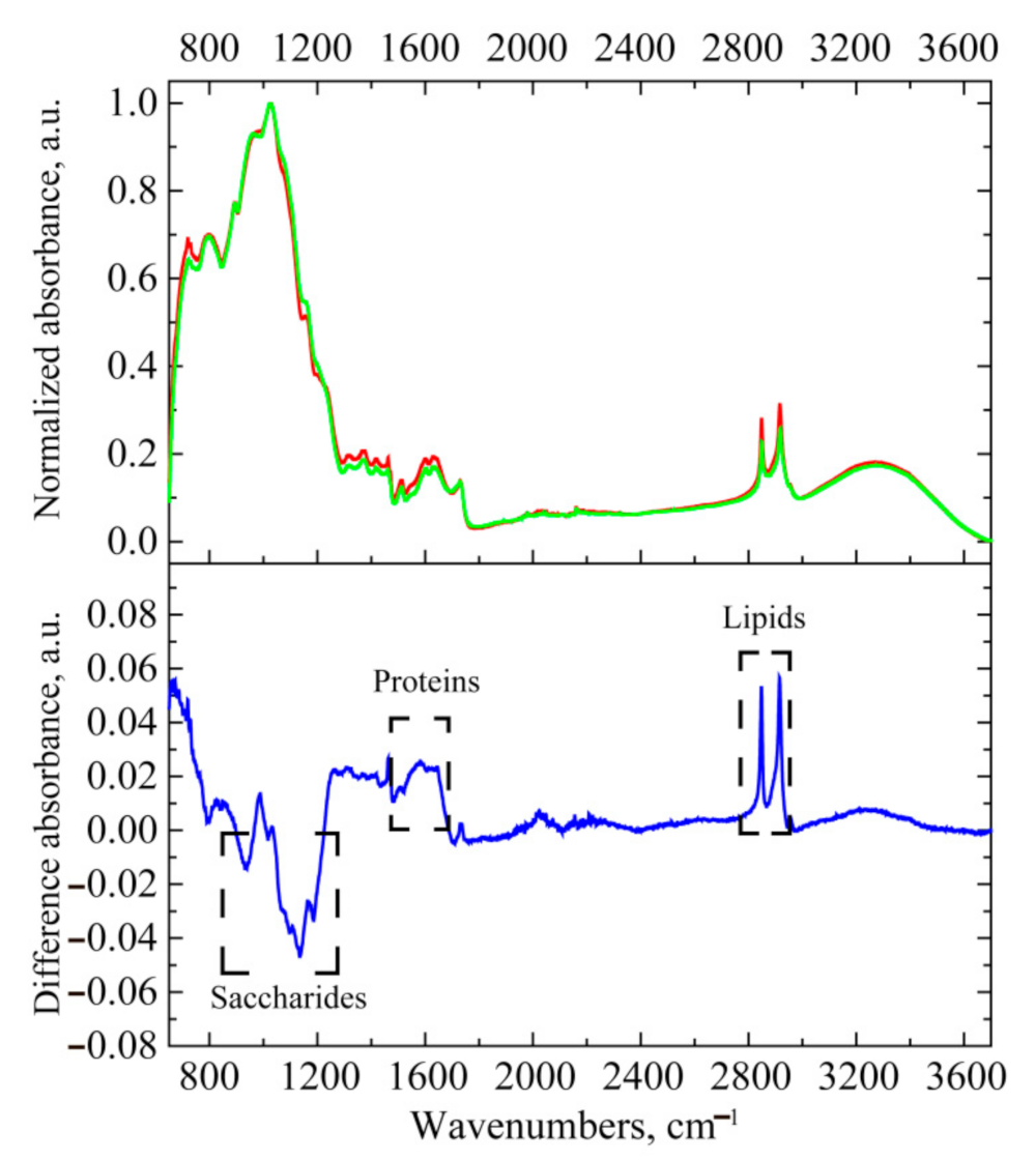 Agronomy 11 02402 g002