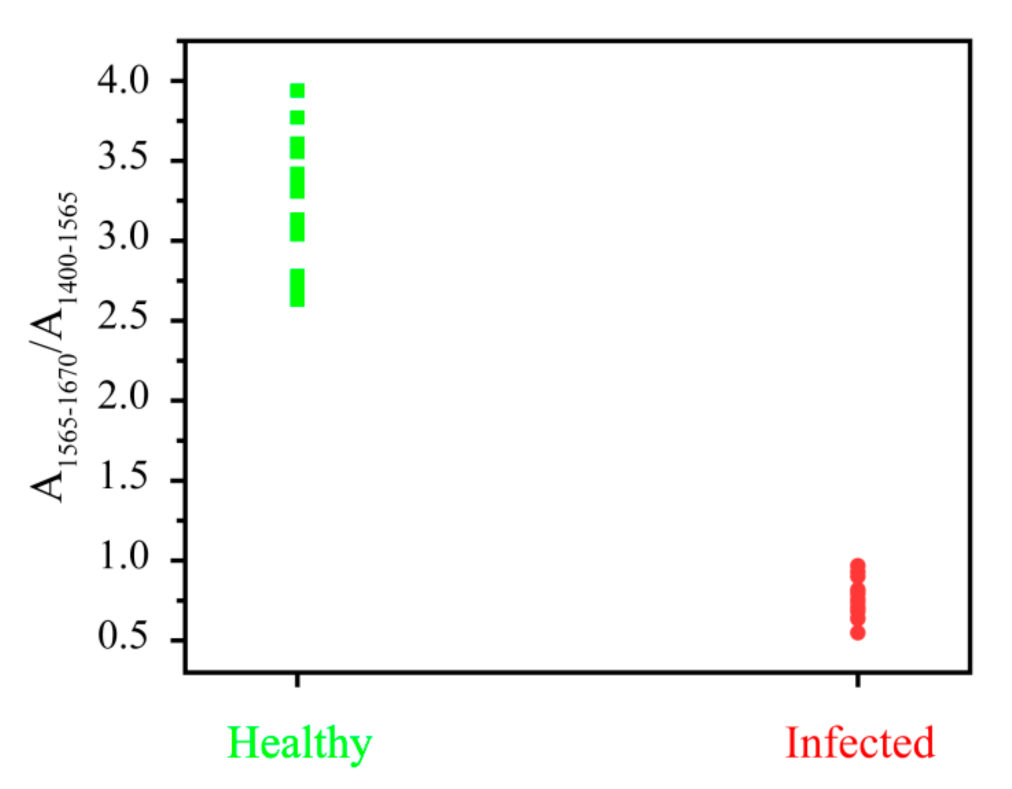 Agronomy 11 02402 g009