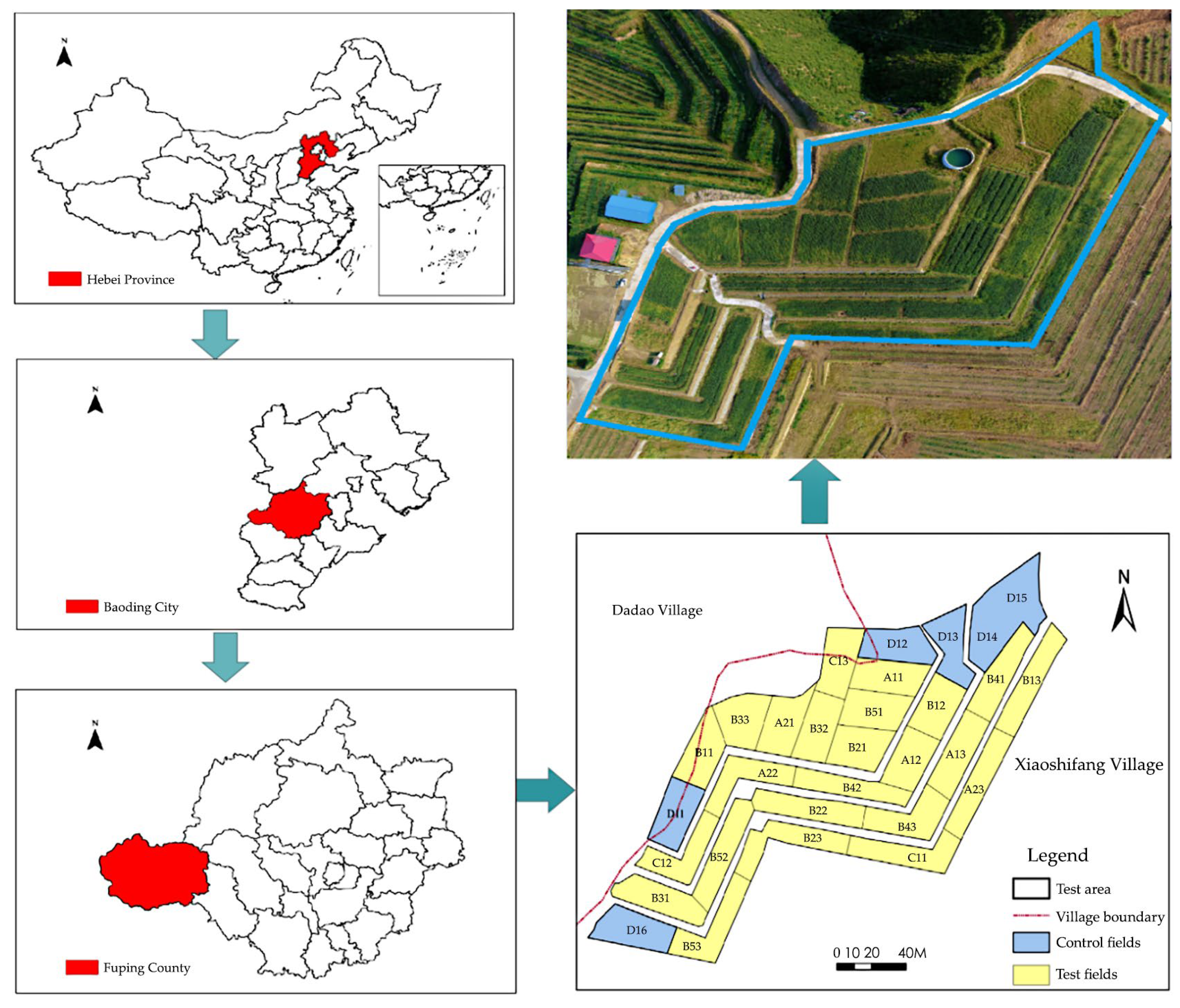 Agronomy 11 02403 g001