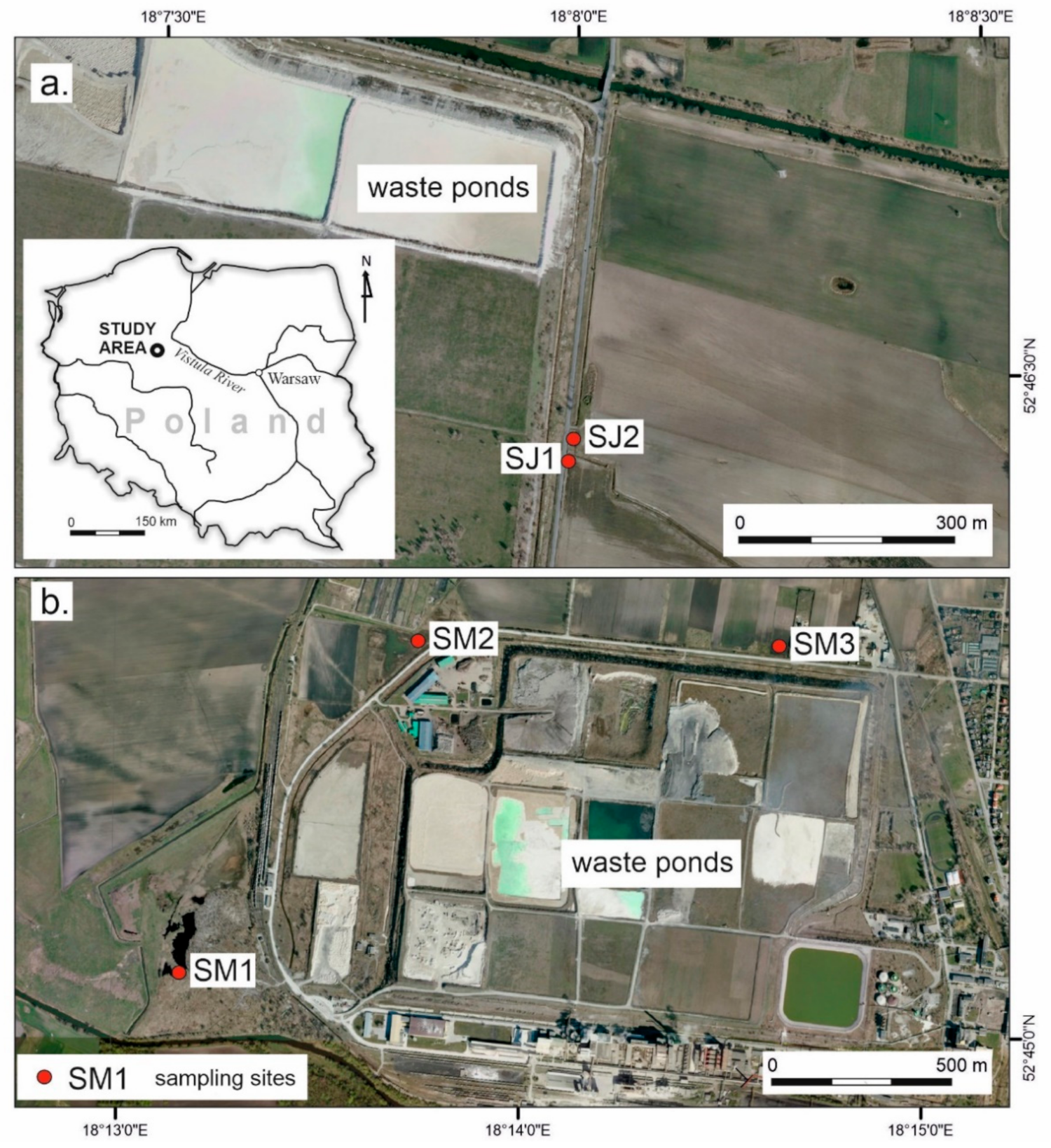 Agronomy 11 02419 g001