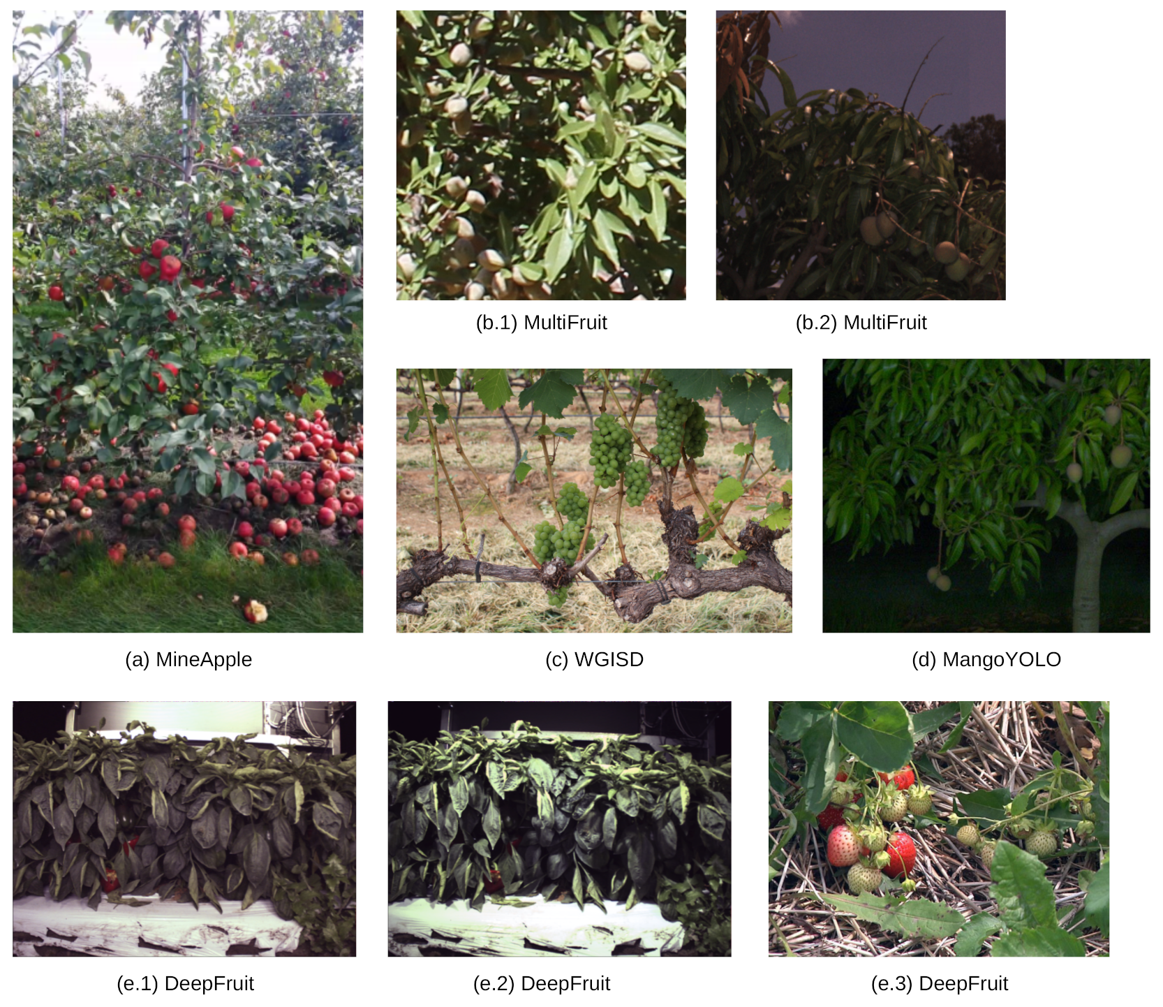 Agronomy 11 02440 g009