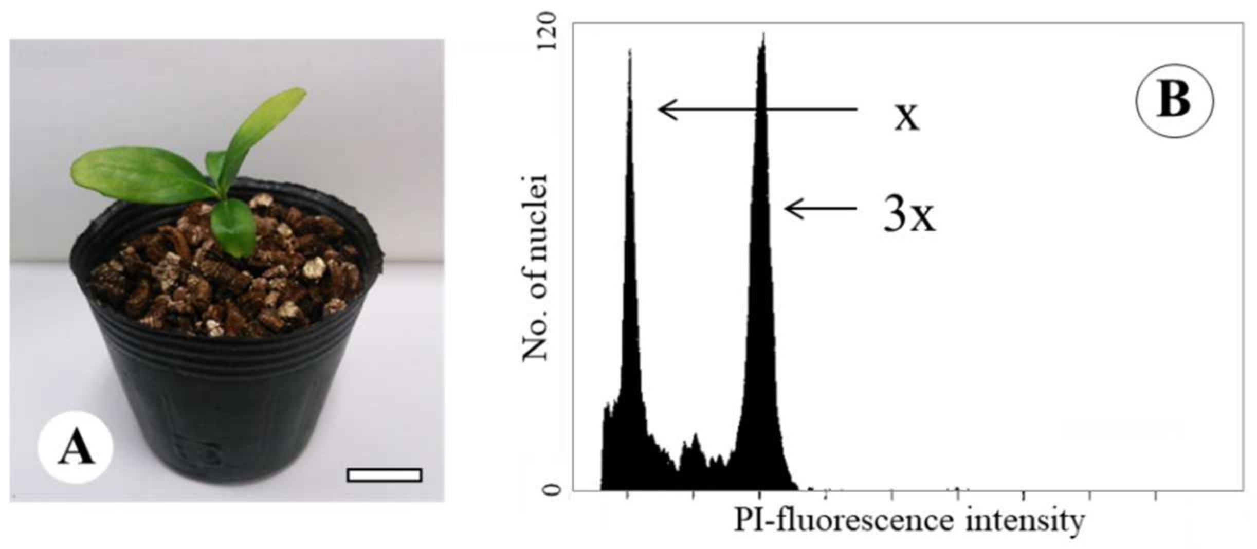Agronomy 11 02441 g005