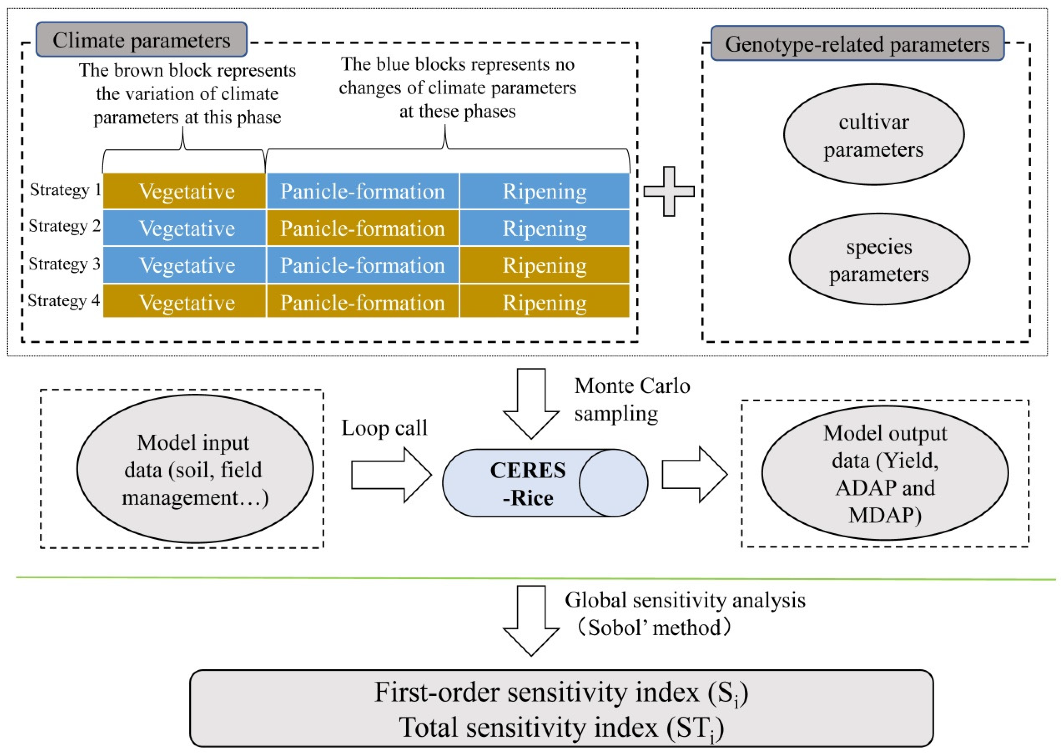 Agronomy 11 02446 g001