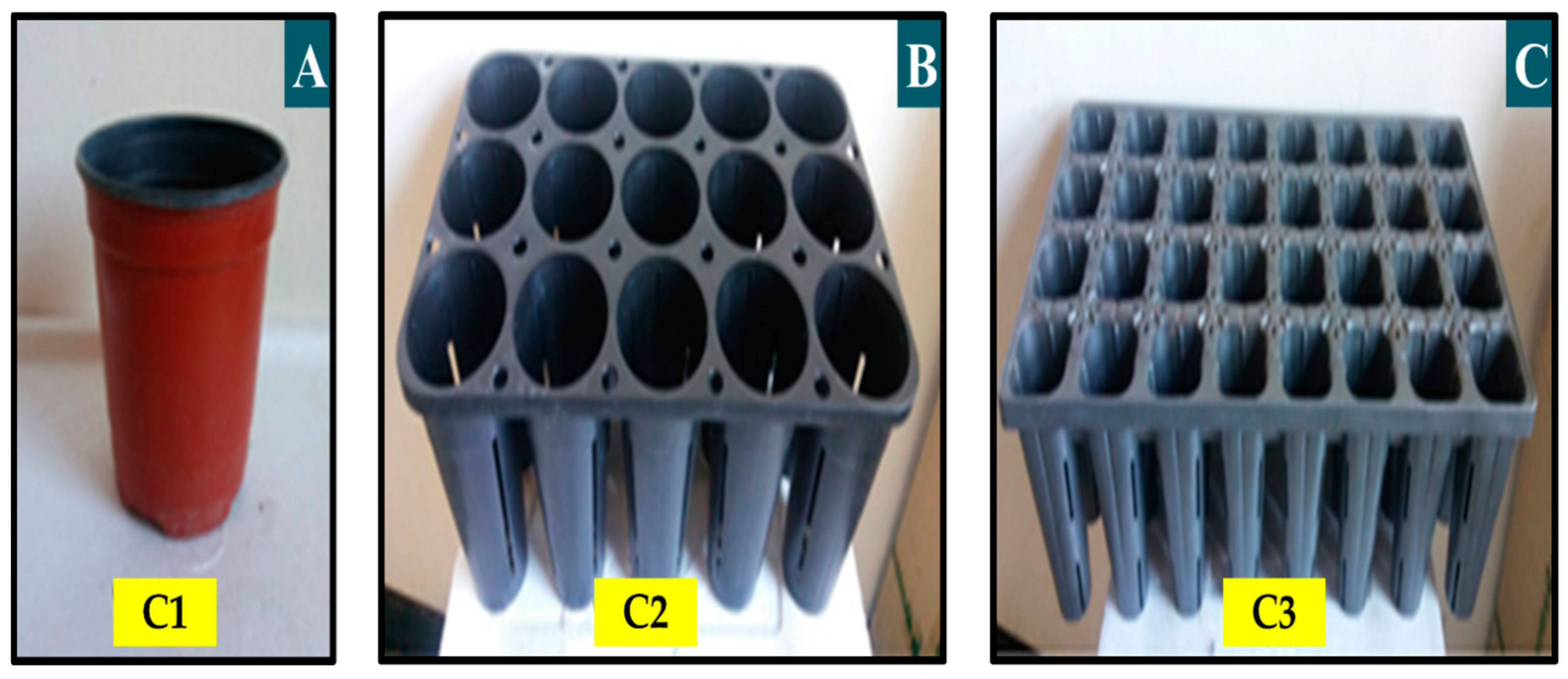 Agronomy 11 02450 g001