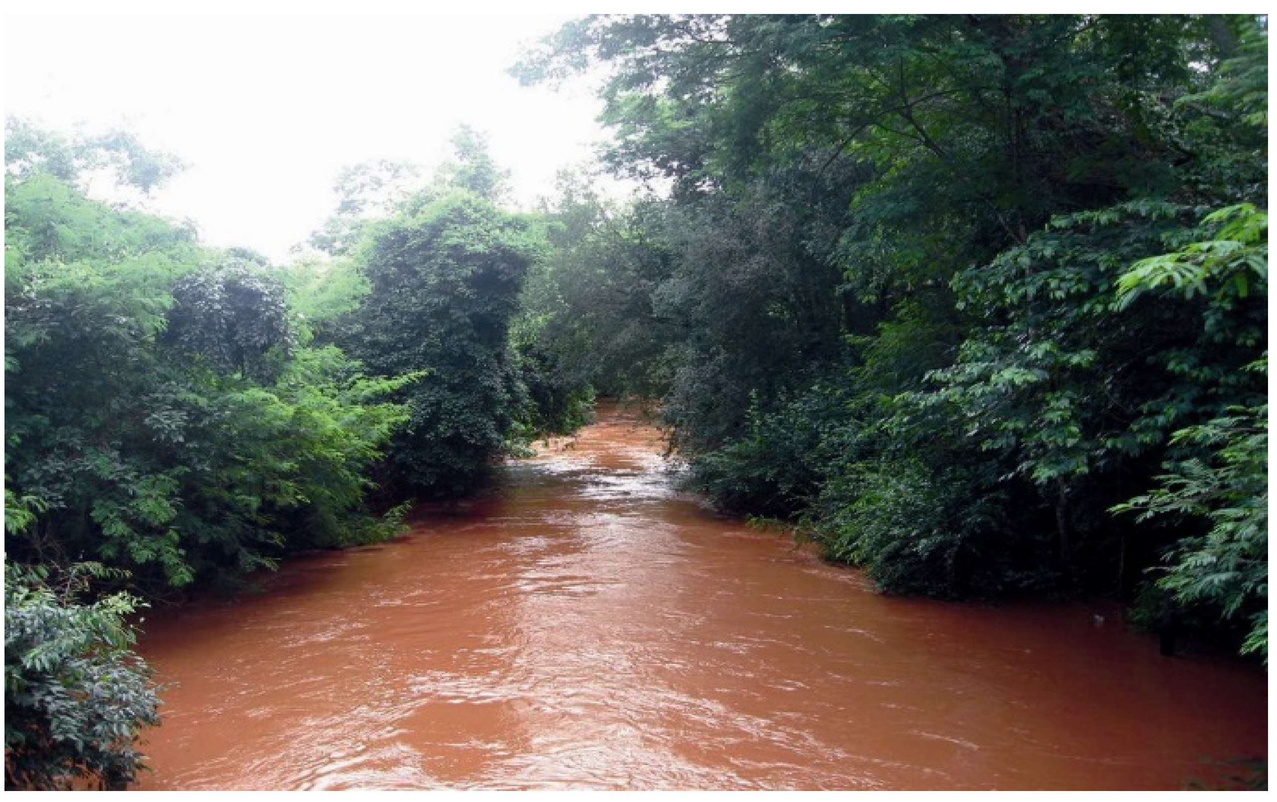 Agronomy 11 02455 g002