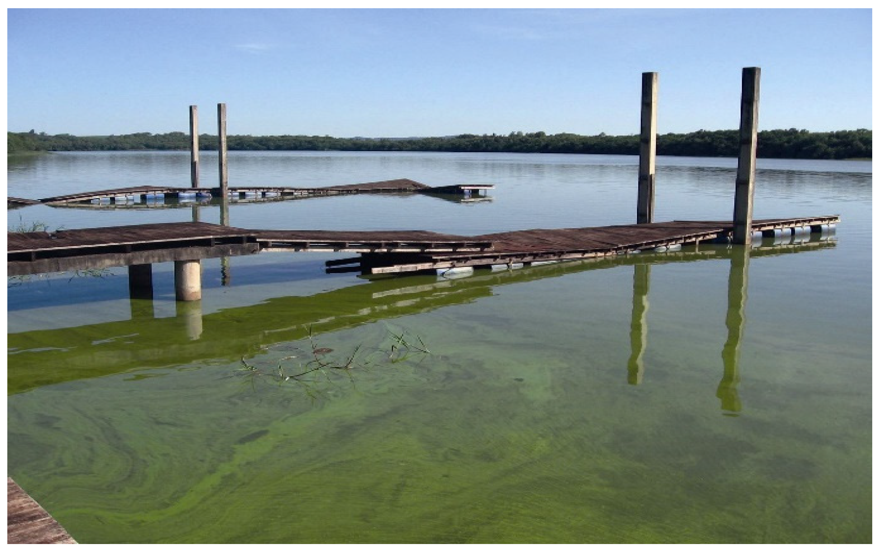 Agronomy 11 02455 g003