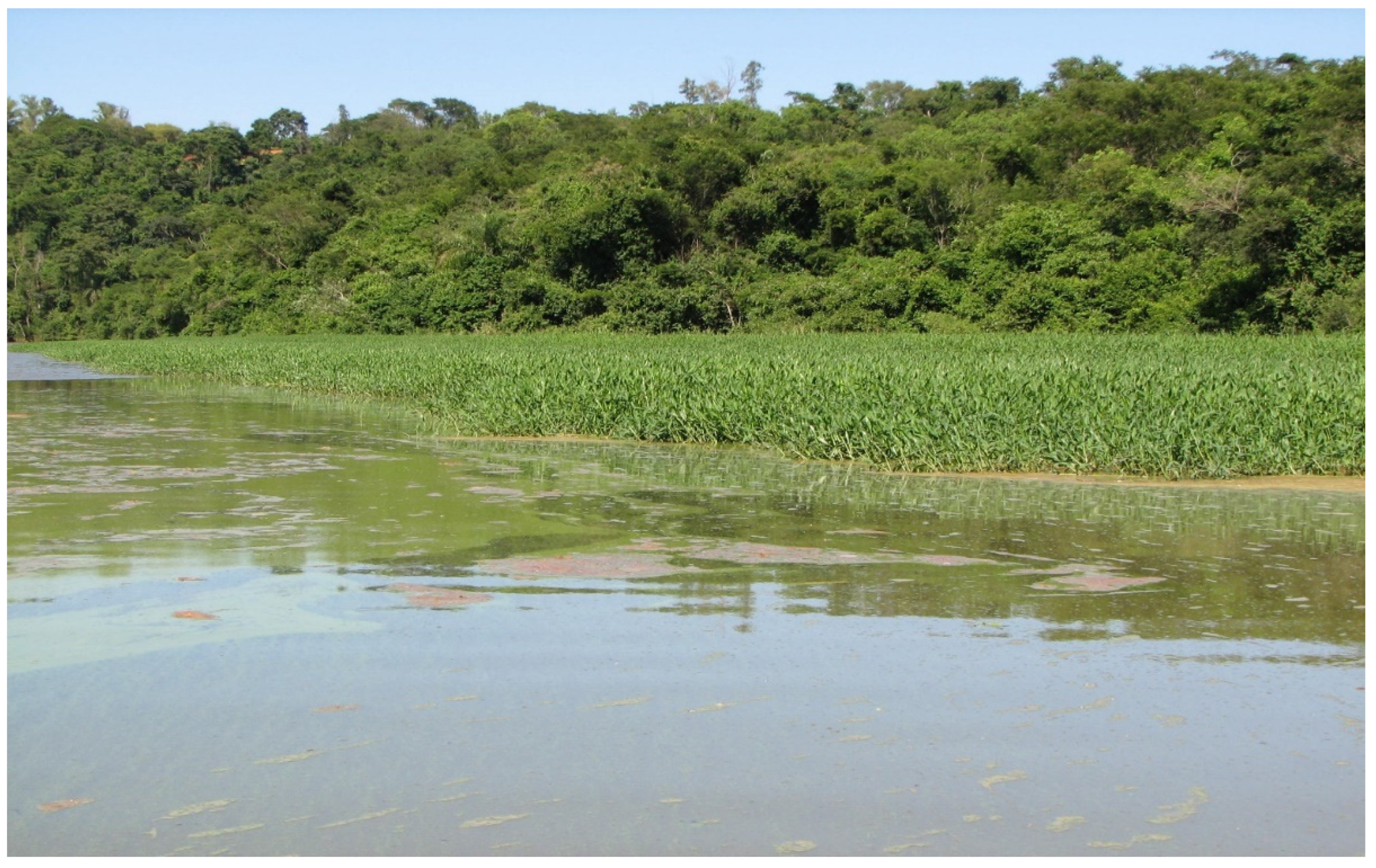 Agronomy 11 02455 g004