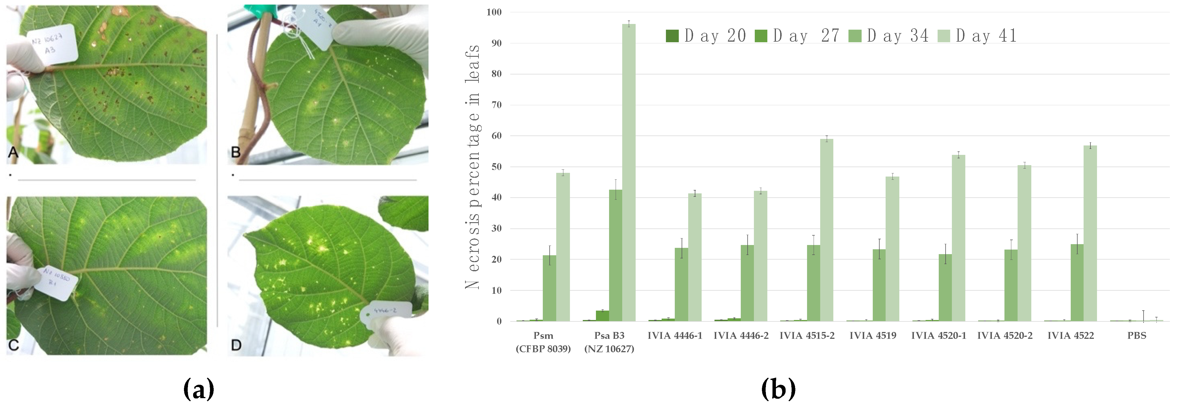 Agronomy 11 02464 g001