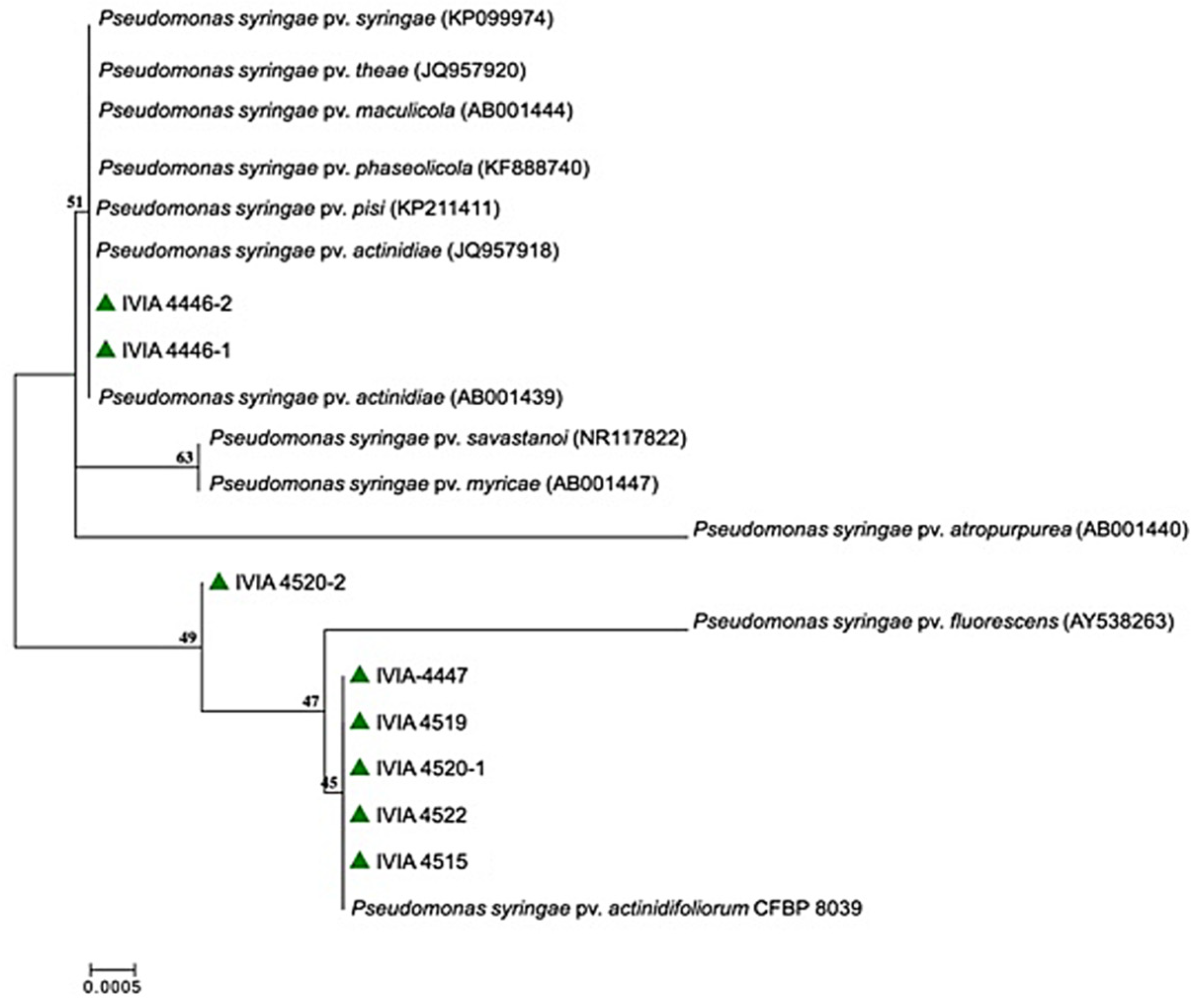 Agronomy 11 02464 g003
