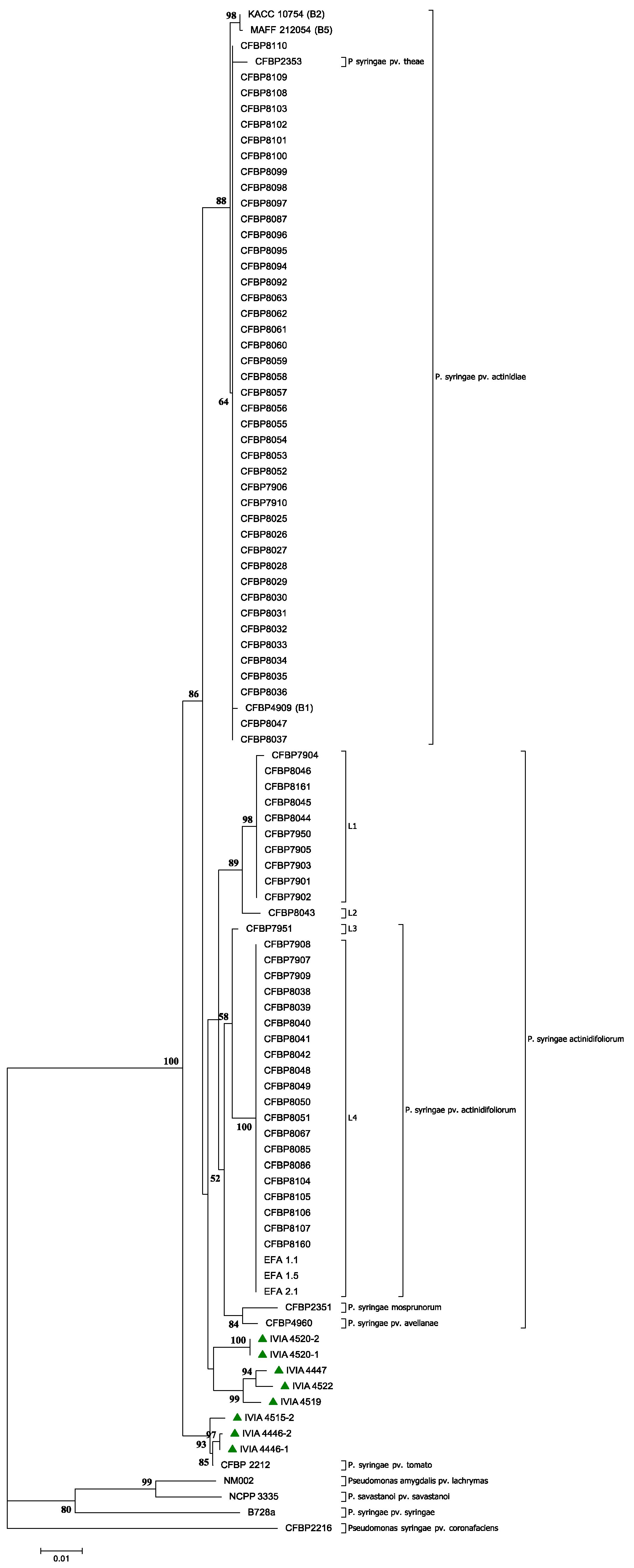 Agronomy 11 02464 g004