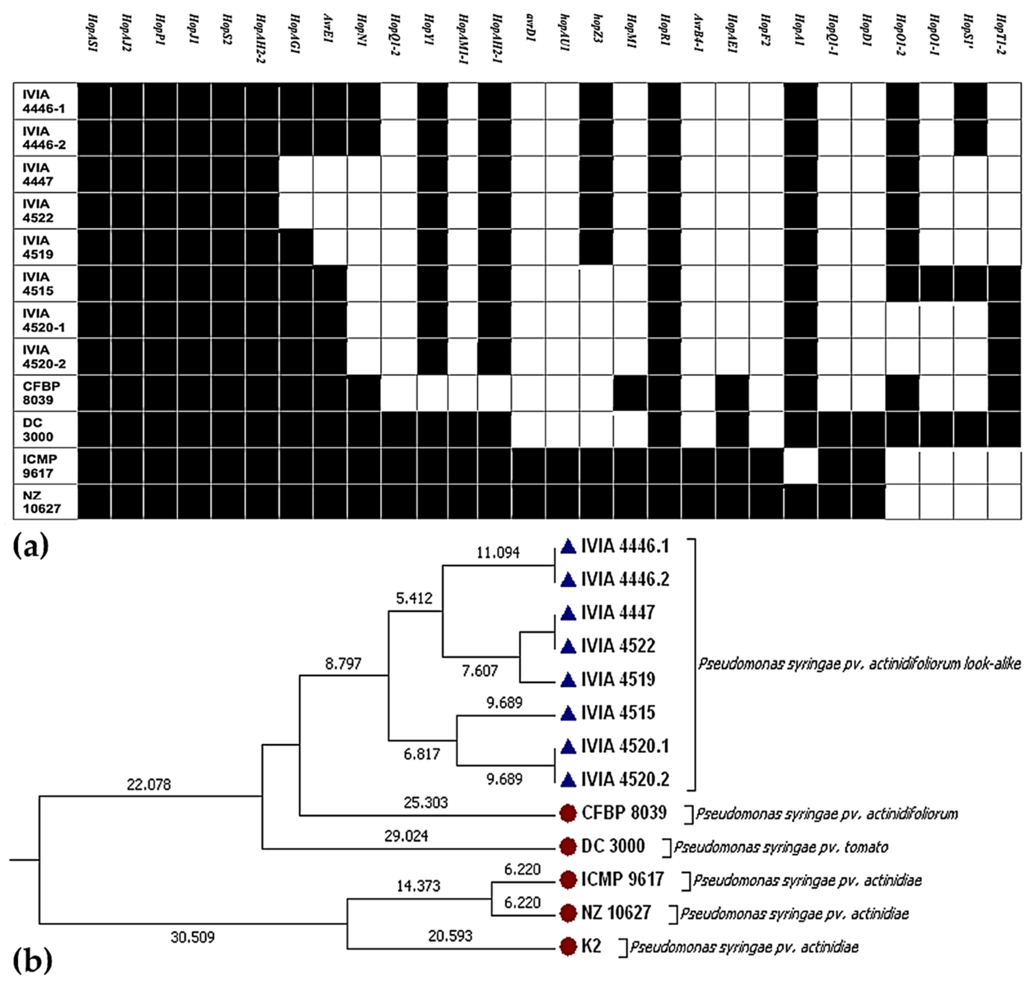 Agronomy 11 02464 g006