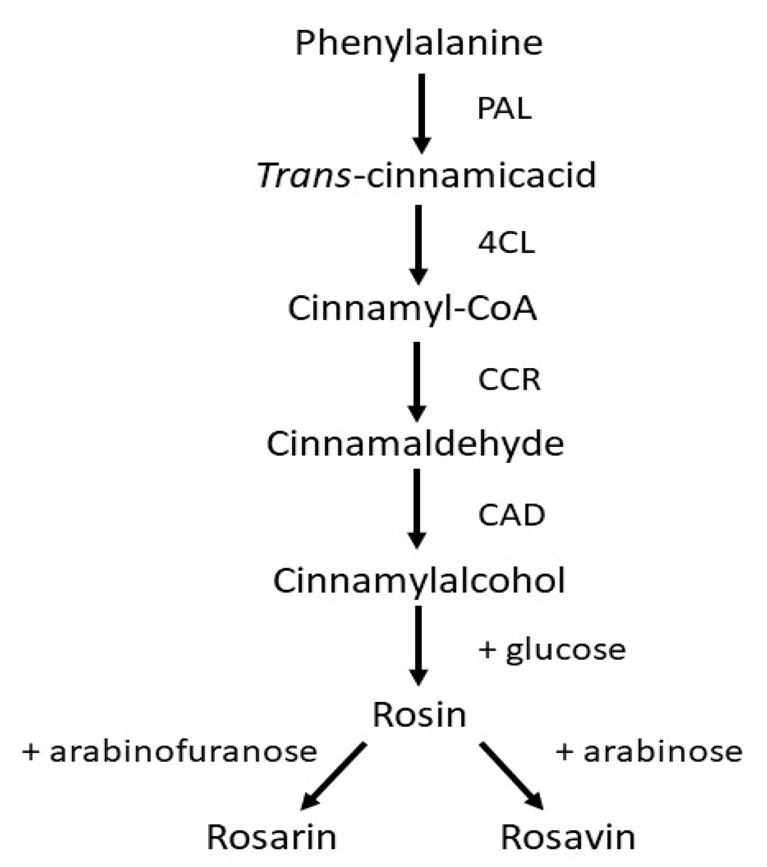 Agronomy 11 02531 g004