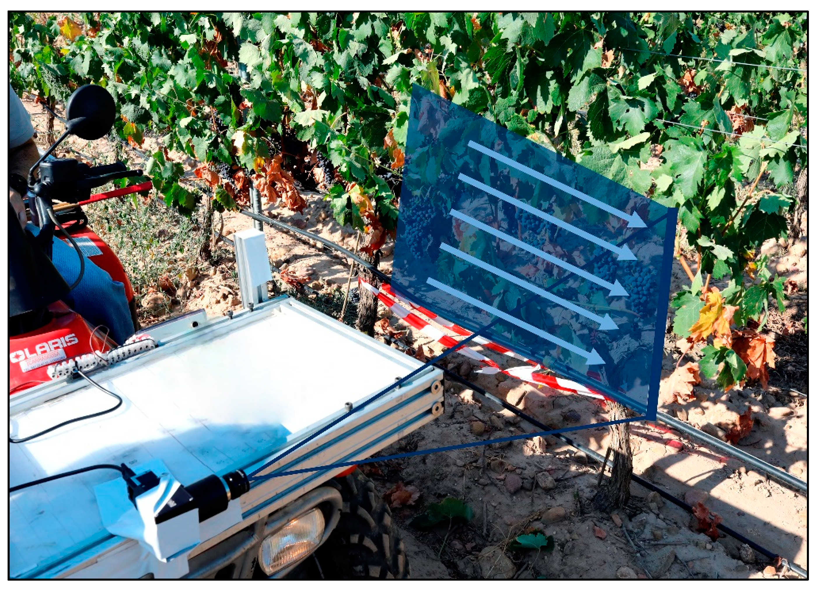 Agronomy 11 02534 g001