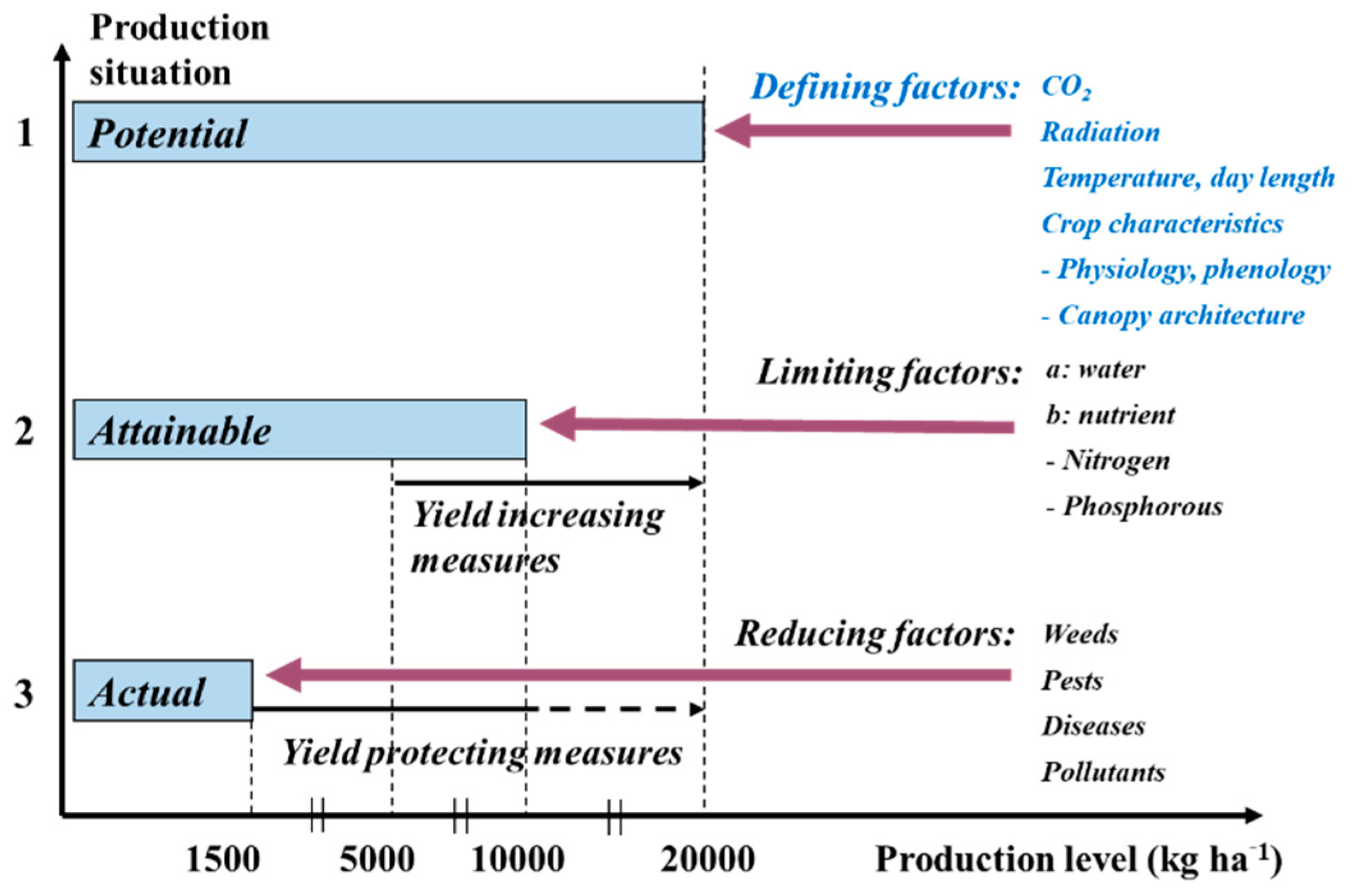 Agronomy 11 02544 g0a1