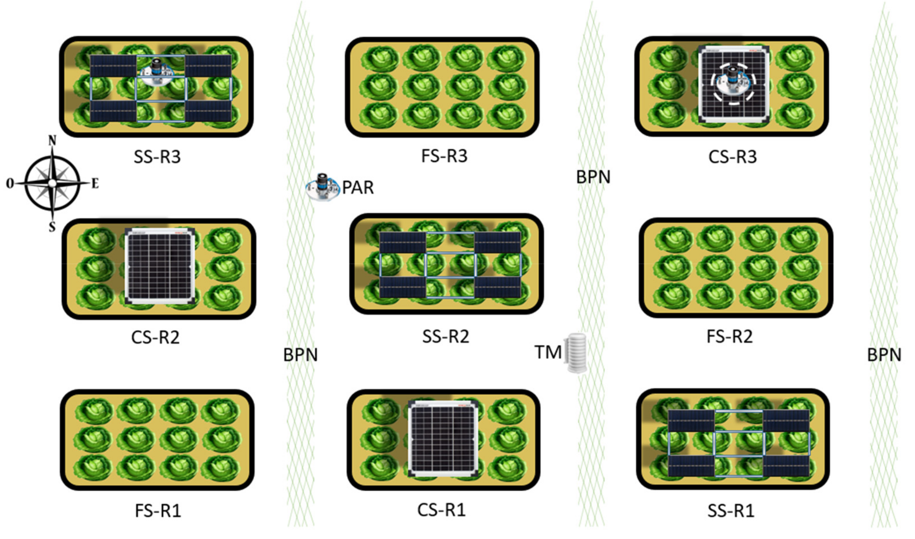 Agronomy 11 02554 g001
