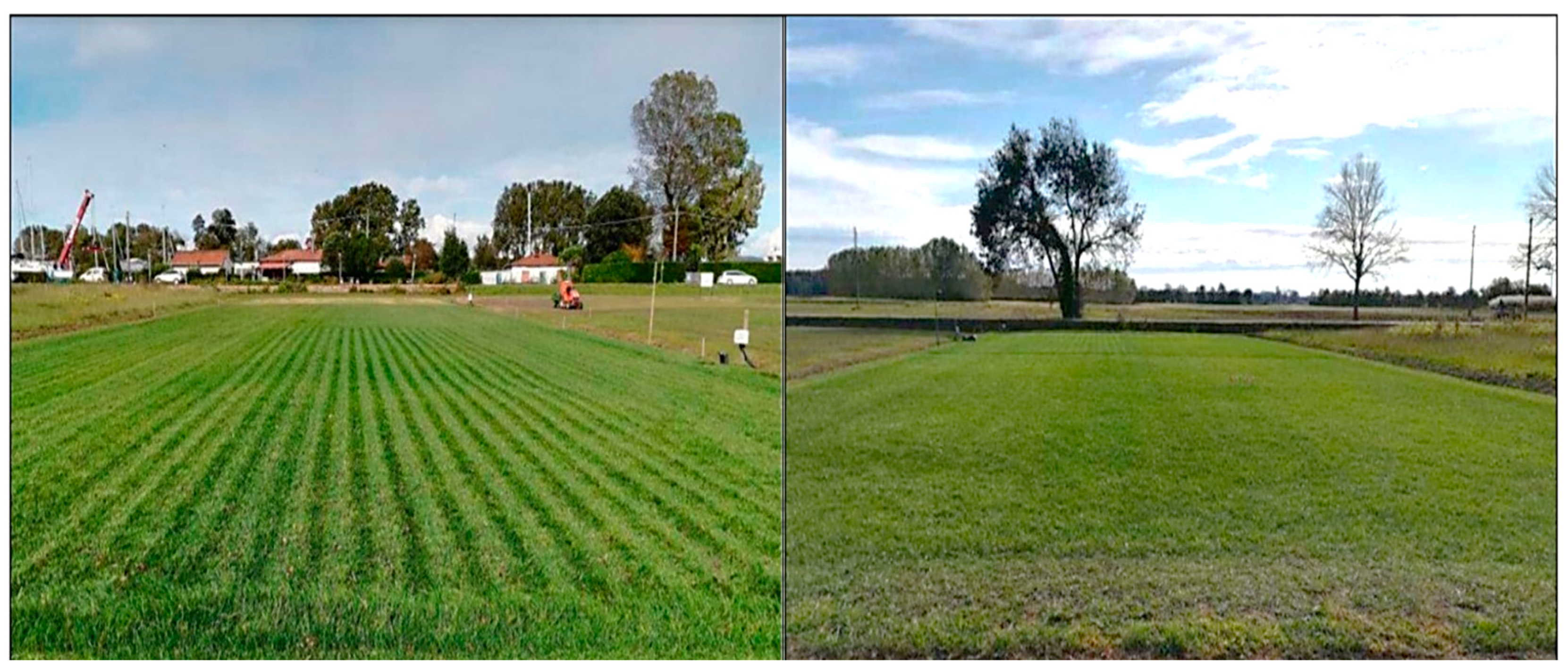 Agronomy 11 02567 g005