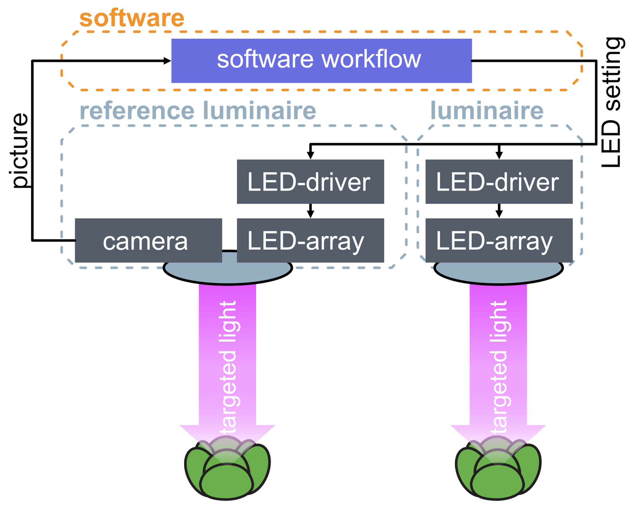 Agronomy 11 02570 g001