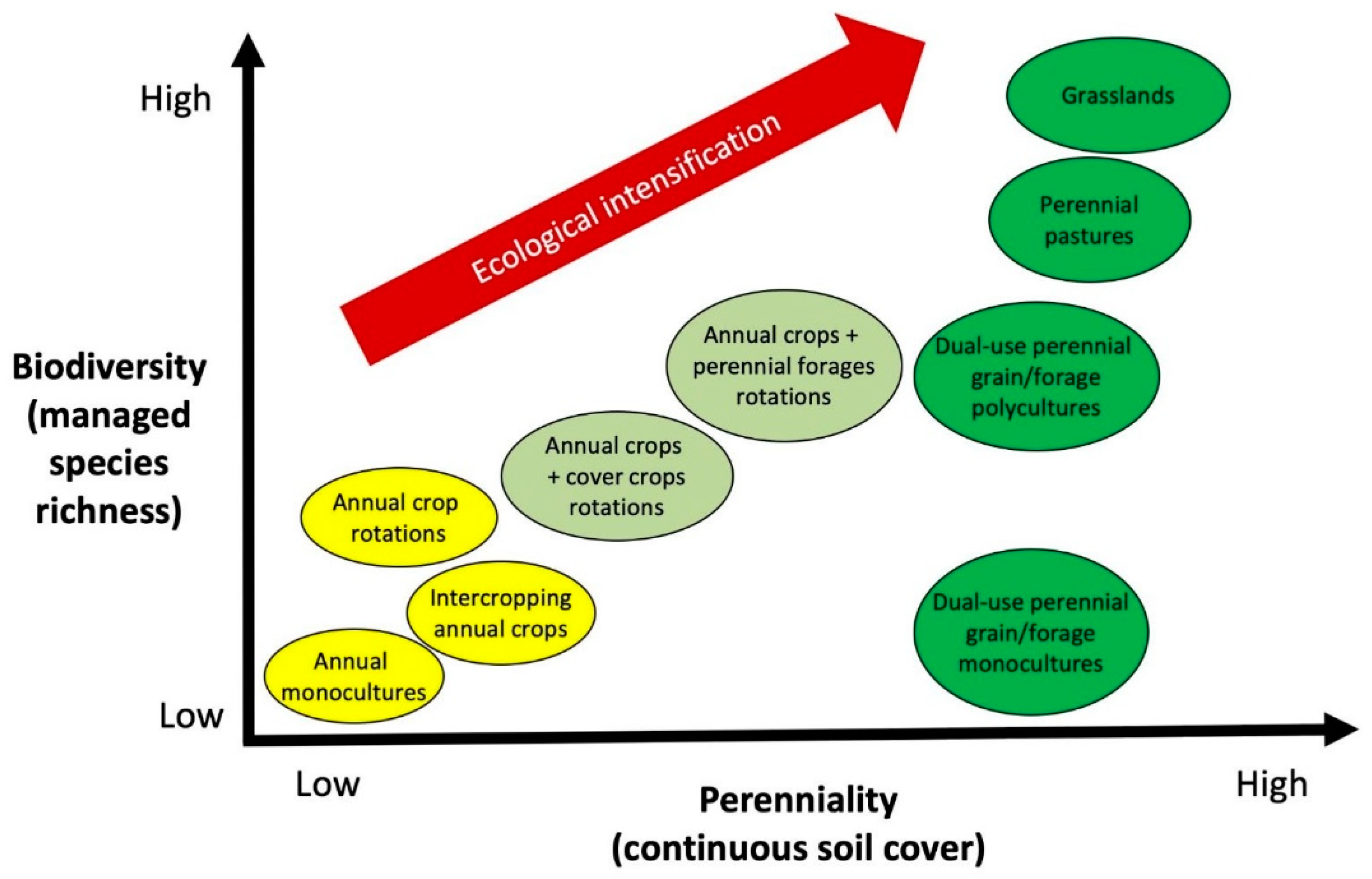 Agronomy 11 02580 g001