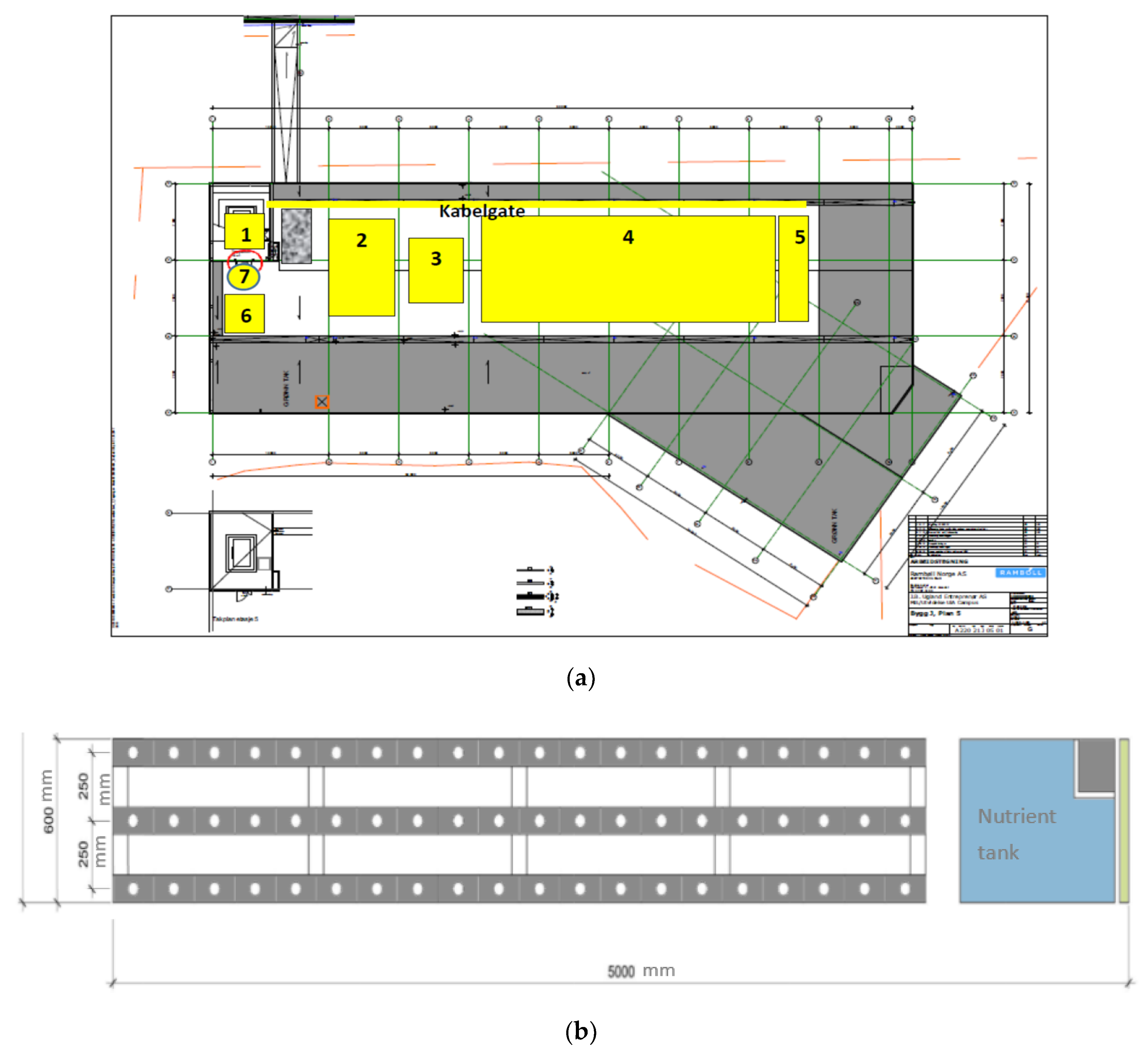 Agronomy 11 02586 g001
