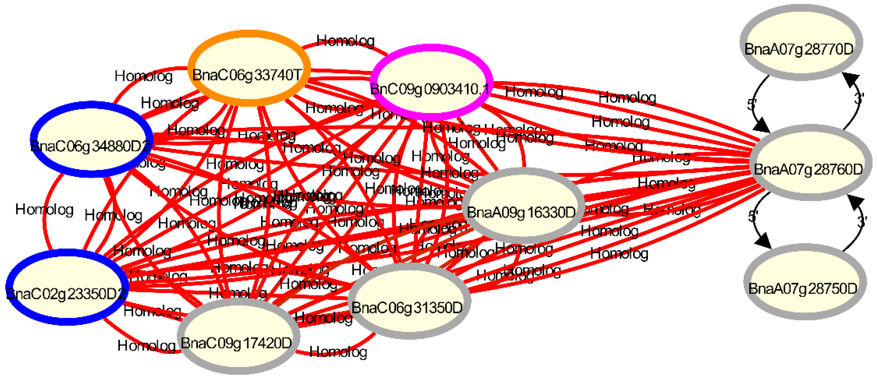 Agronomy 11 02587 g003