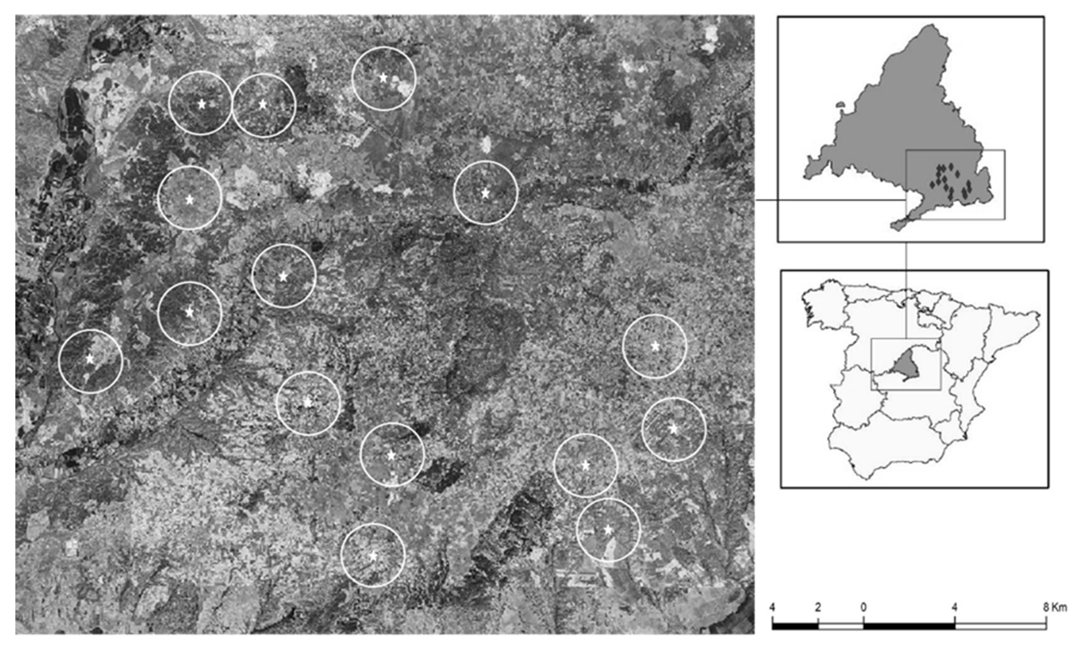 Agronomy 12 00004 g001