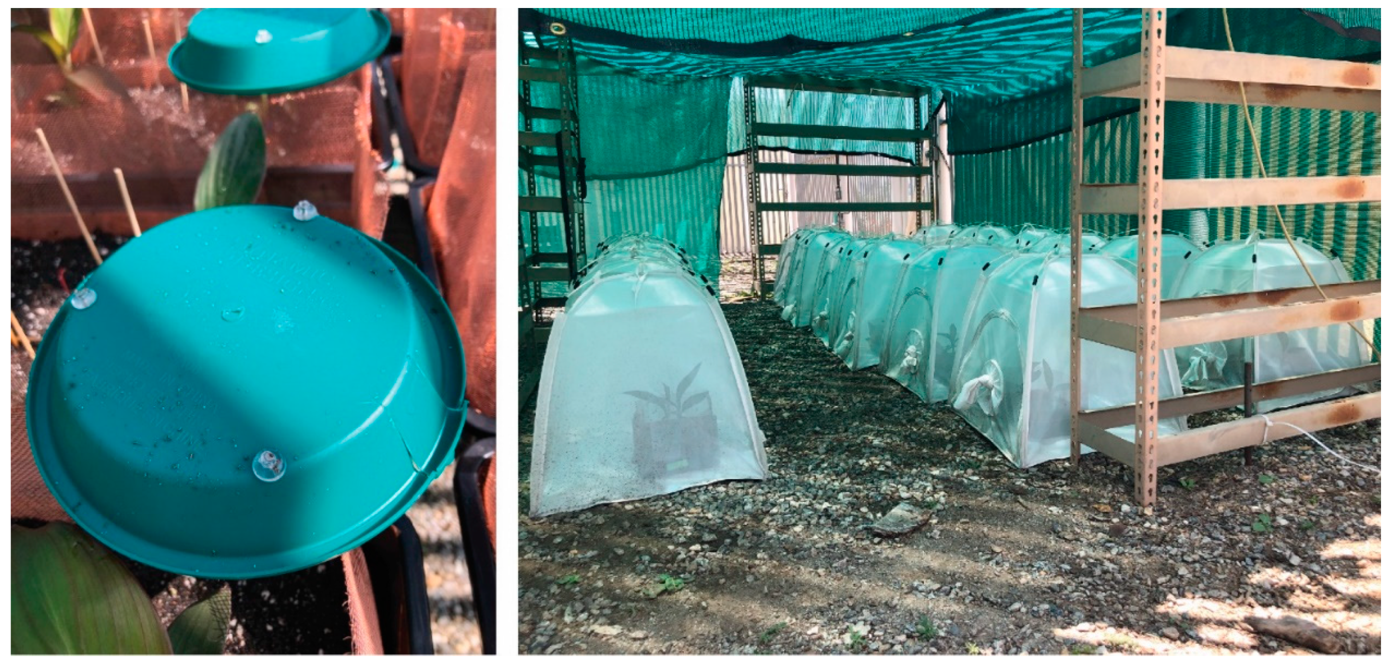 Agronomy 12 00020 g001 Agronomy 12 00020 g001