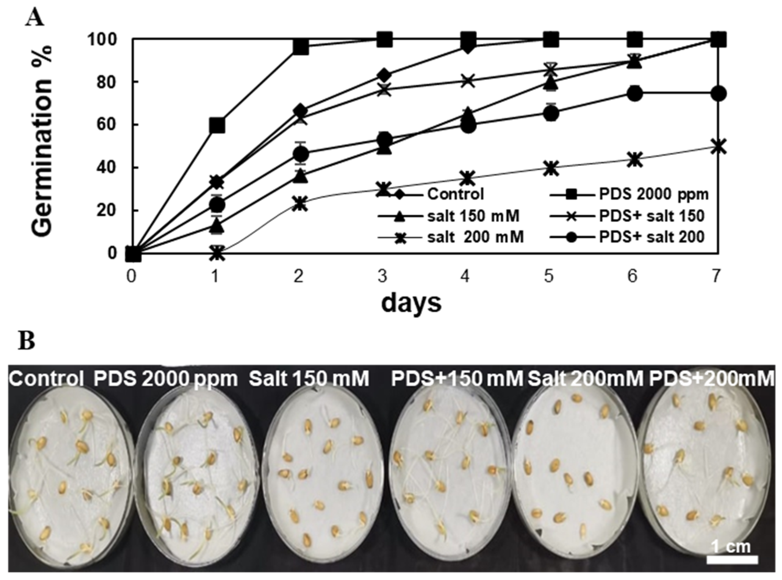 Agronomy 12 00028 g001