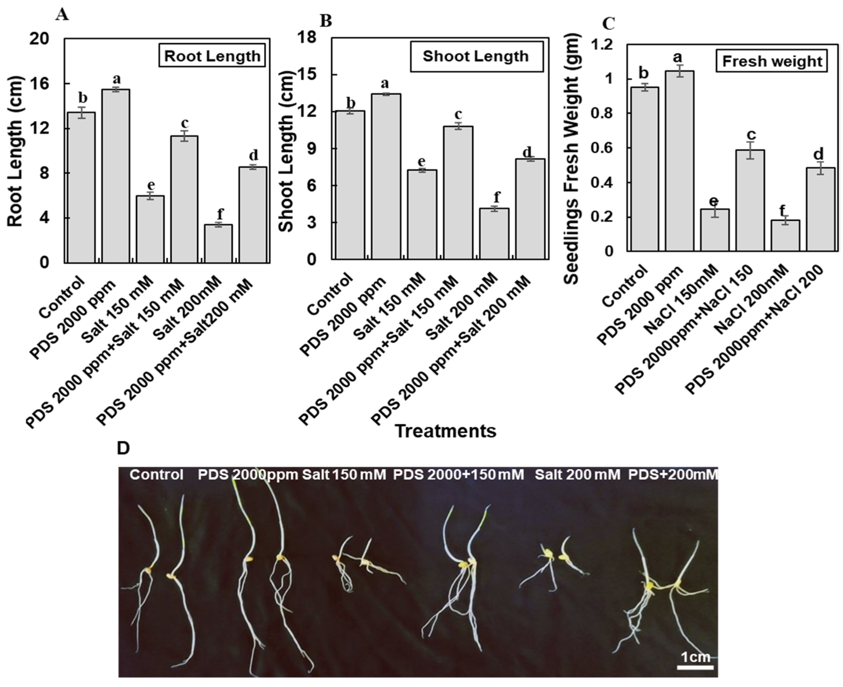 Agronomy 12 00028 g003