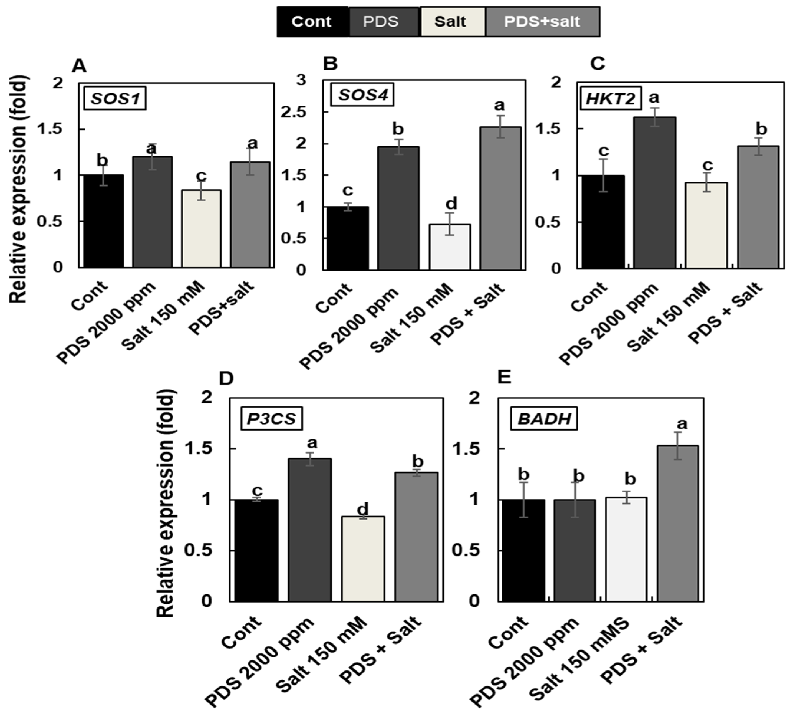 Agronomy 12 00028 g004