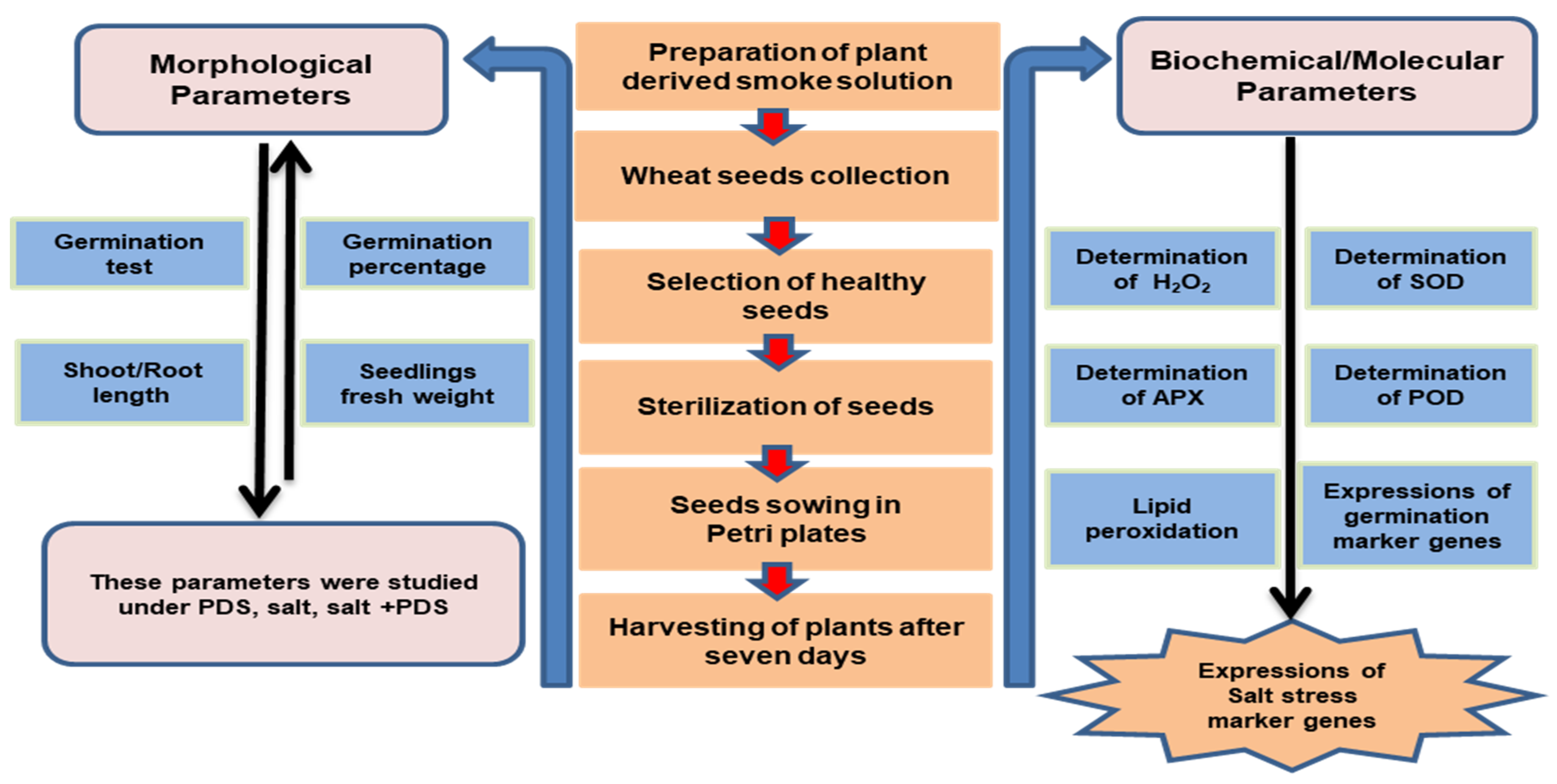 Agronomy 12 00028 g007