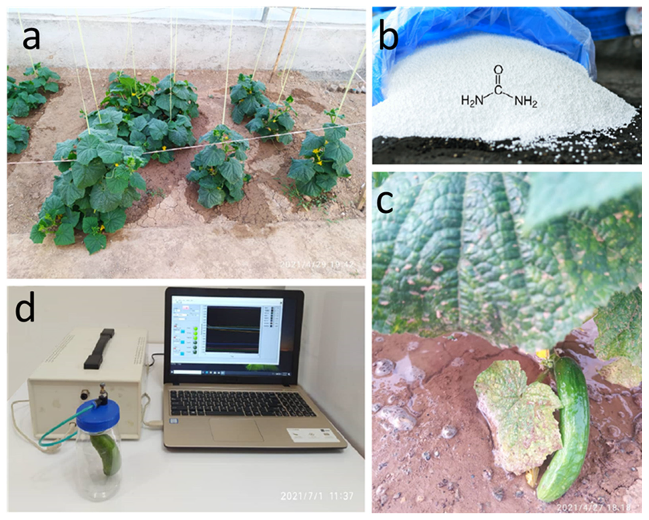 Agronomy 12 00035 g001
