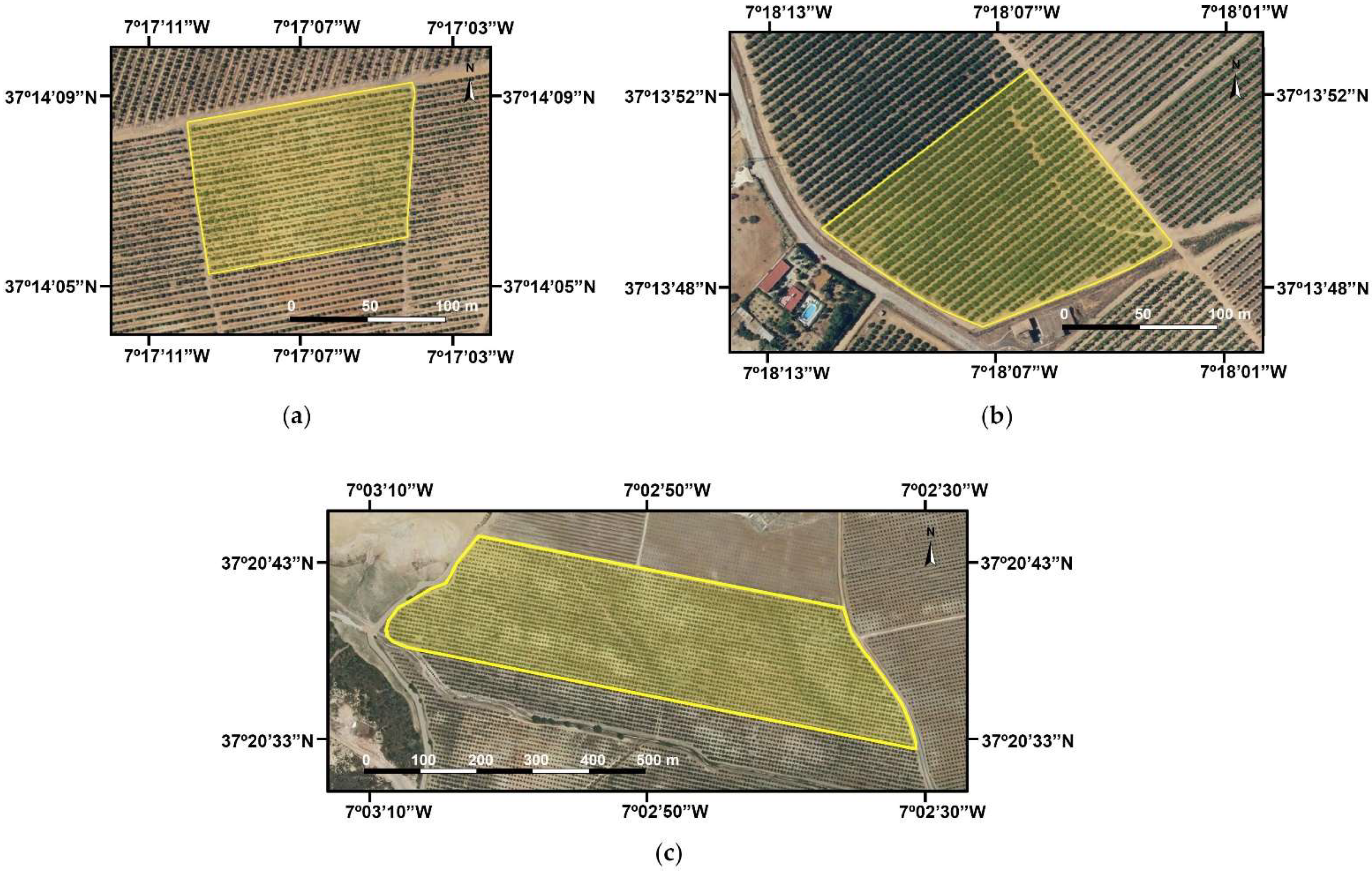 Agronomy 12 00043 g001