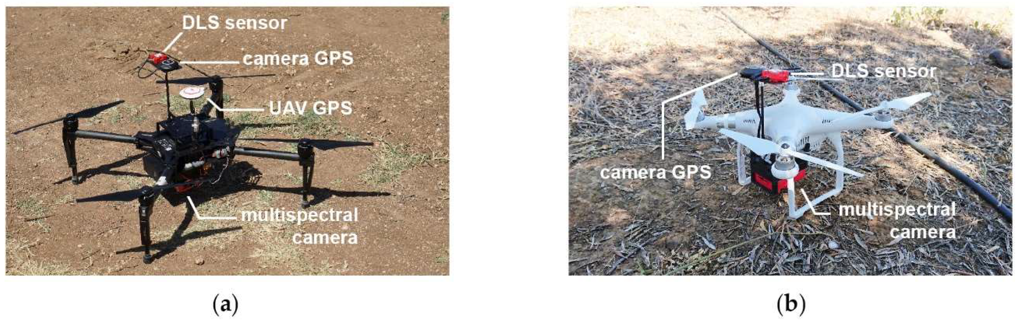 Agronomy 12 00043 g002