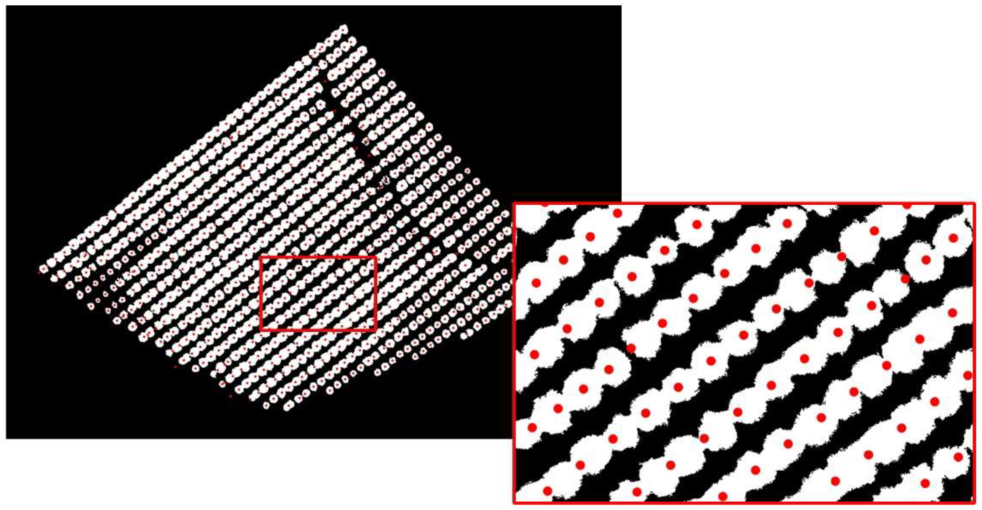 Agronomy 12 00043 g005