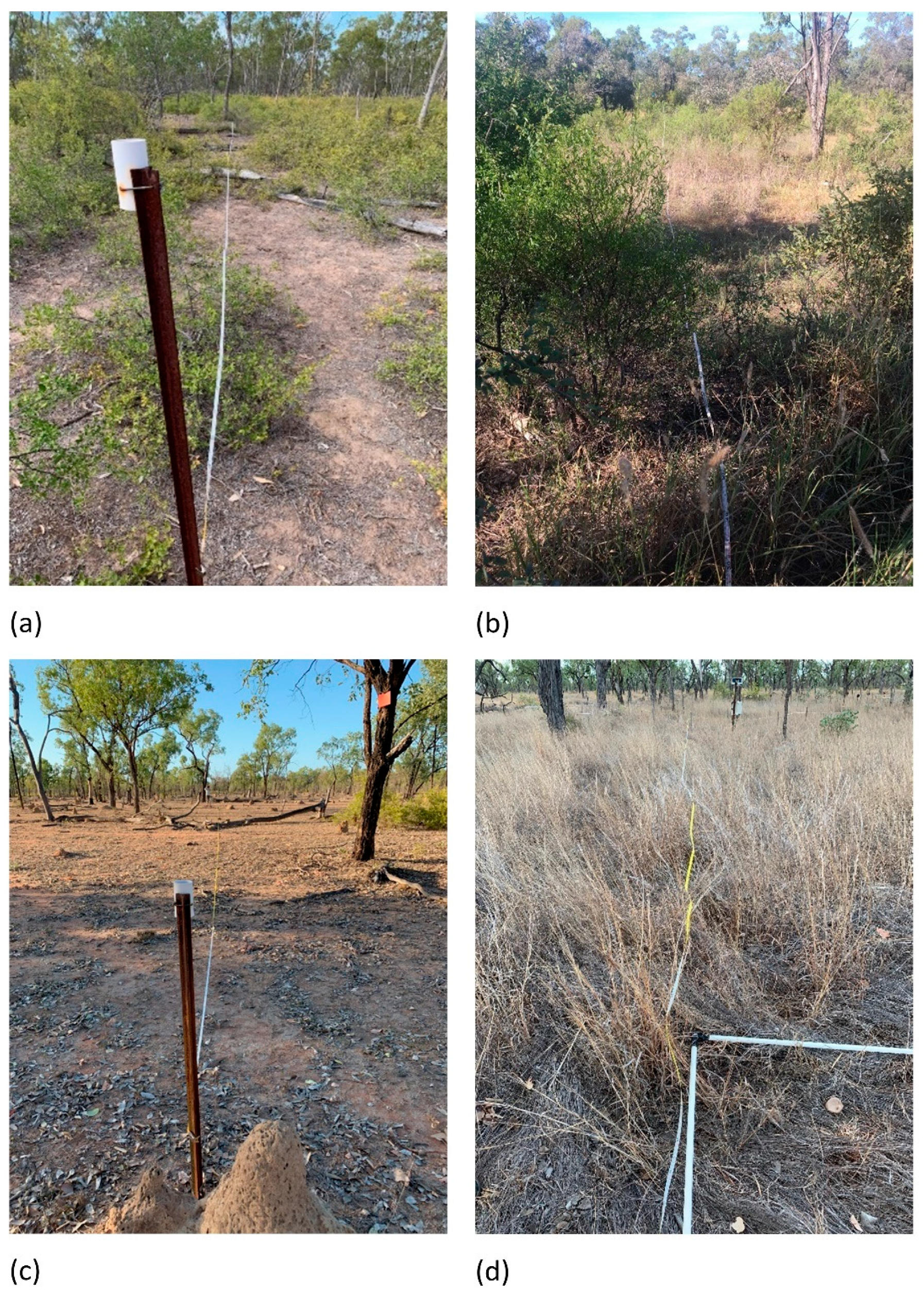 Agronomy 12 00062 g003 Agronomy 12 00062 g003