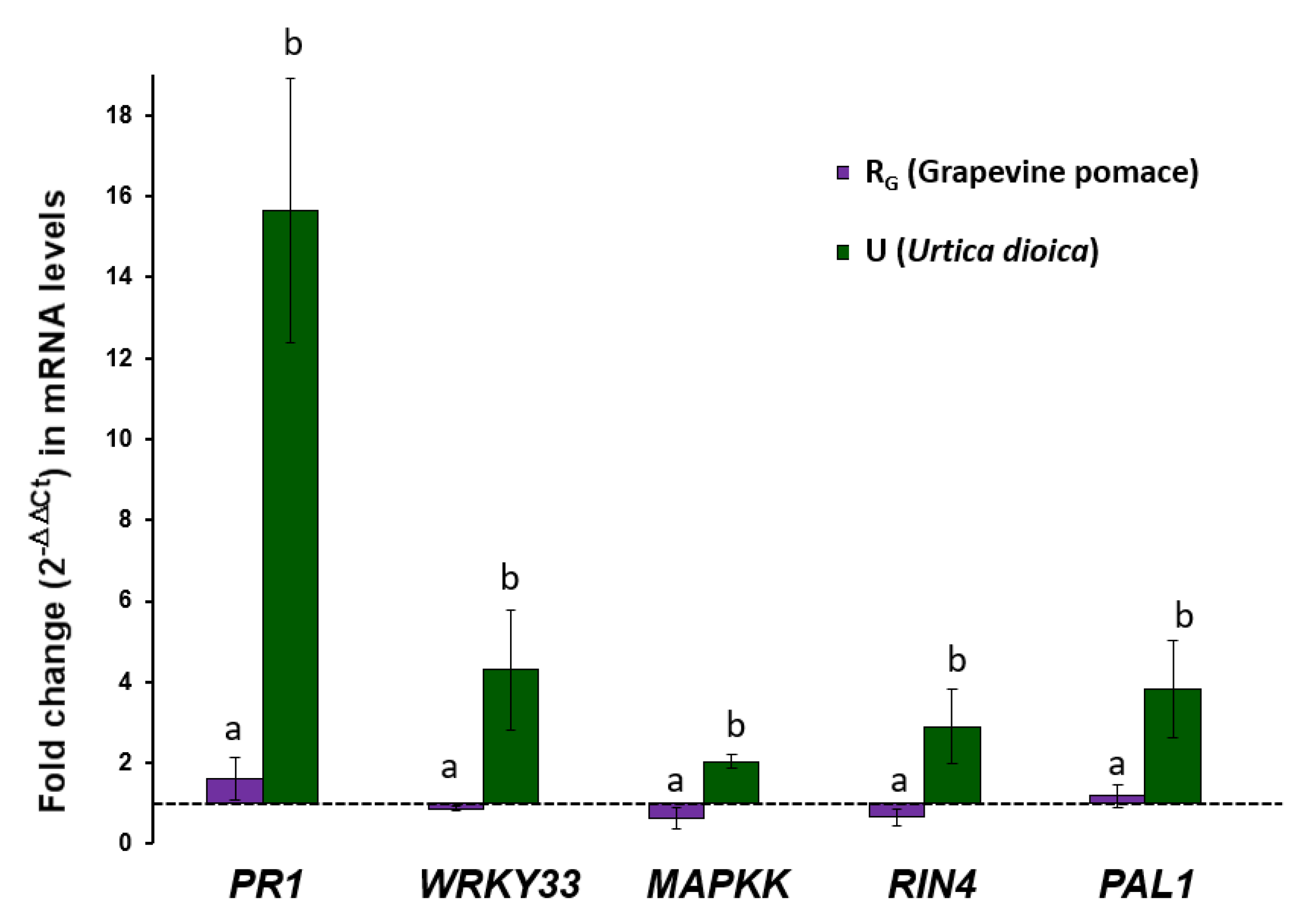 Agronomy 12 00063 g005