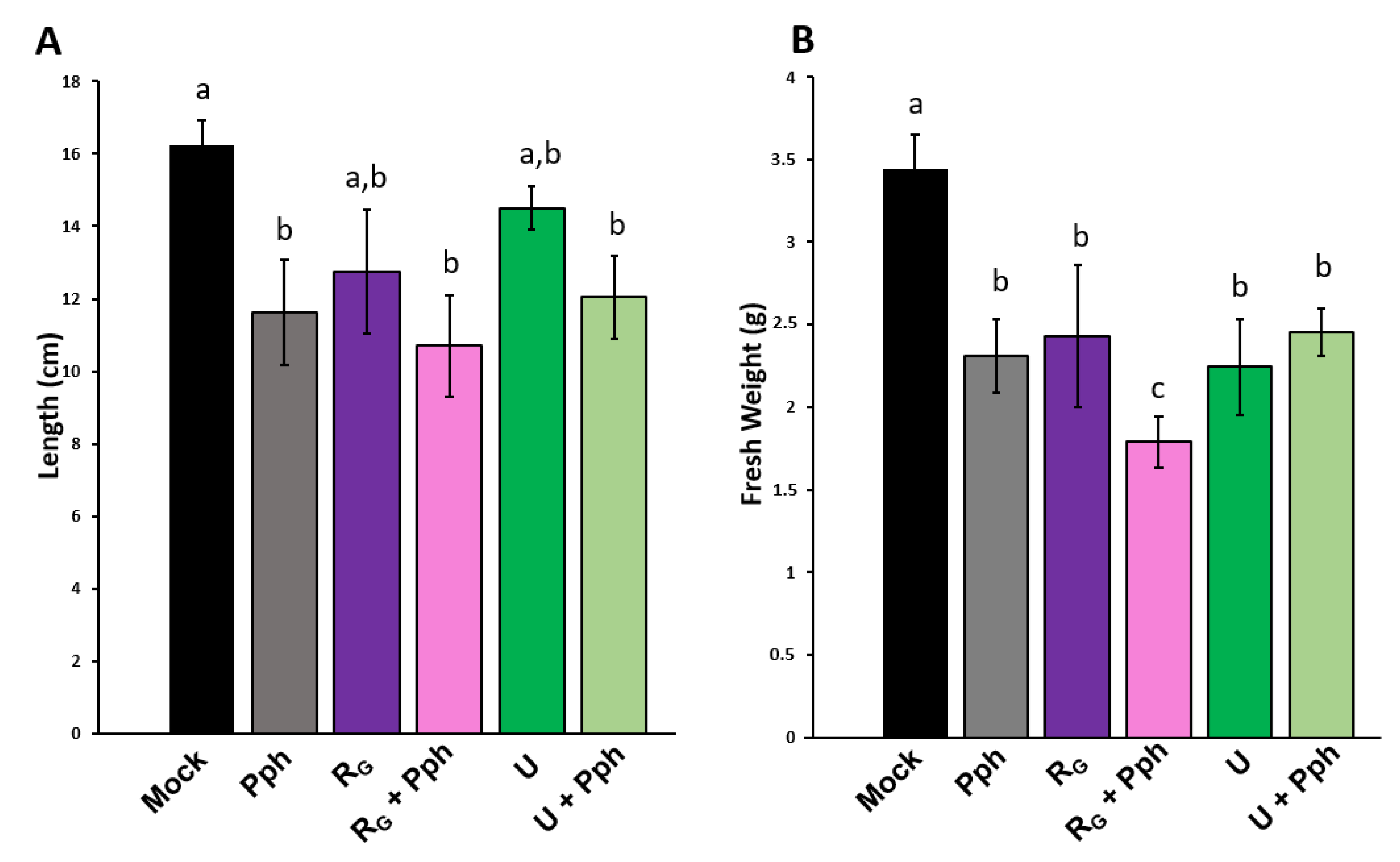 Agronomy 12 00063 g007