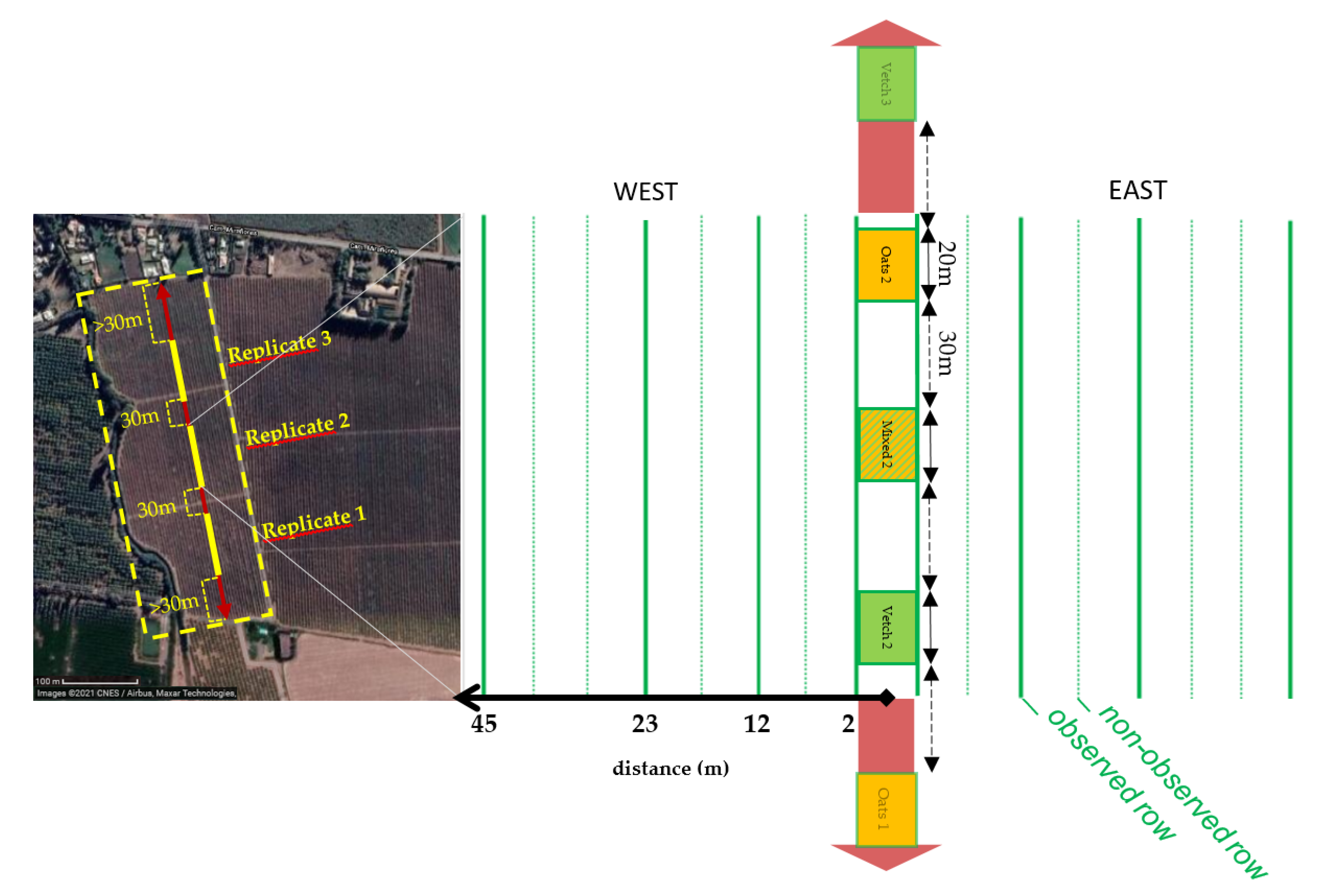Agronomy 12 00077 g001