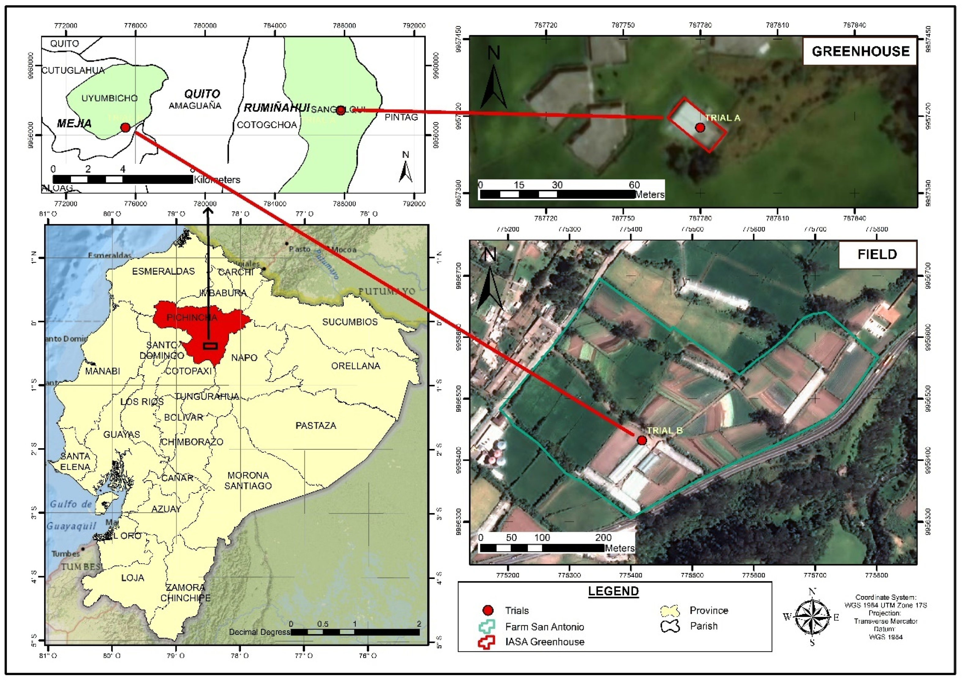 Agronomy 12 00081 g001