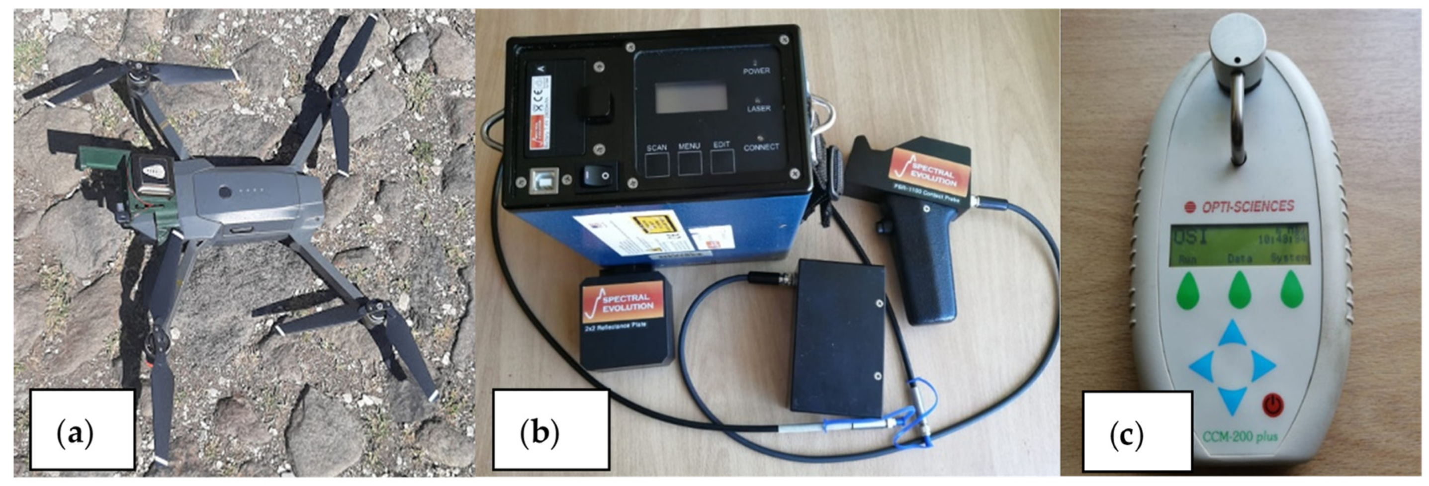 Agronomy 12 00081 g002