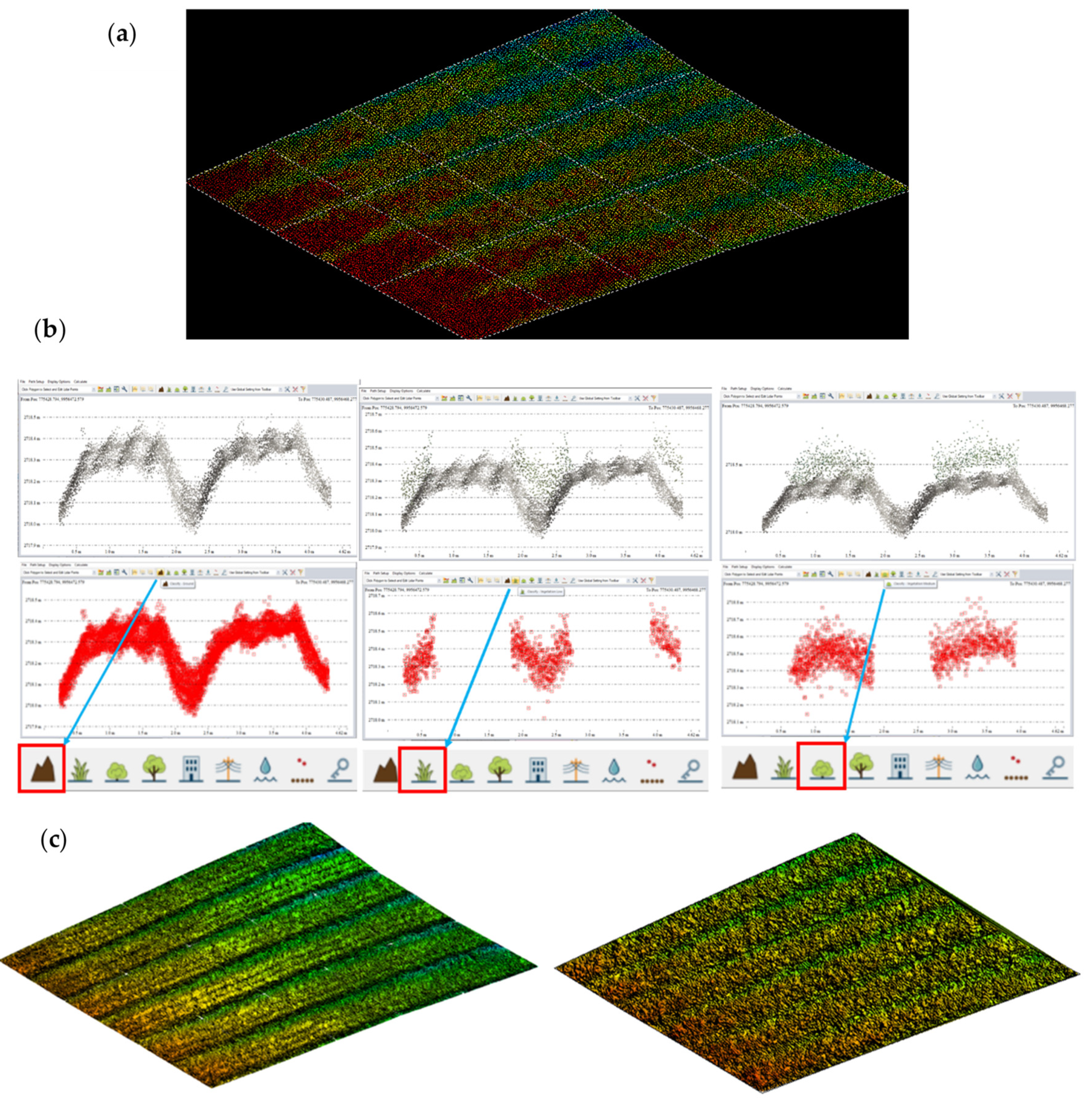 Agronomy 12 00081 g006