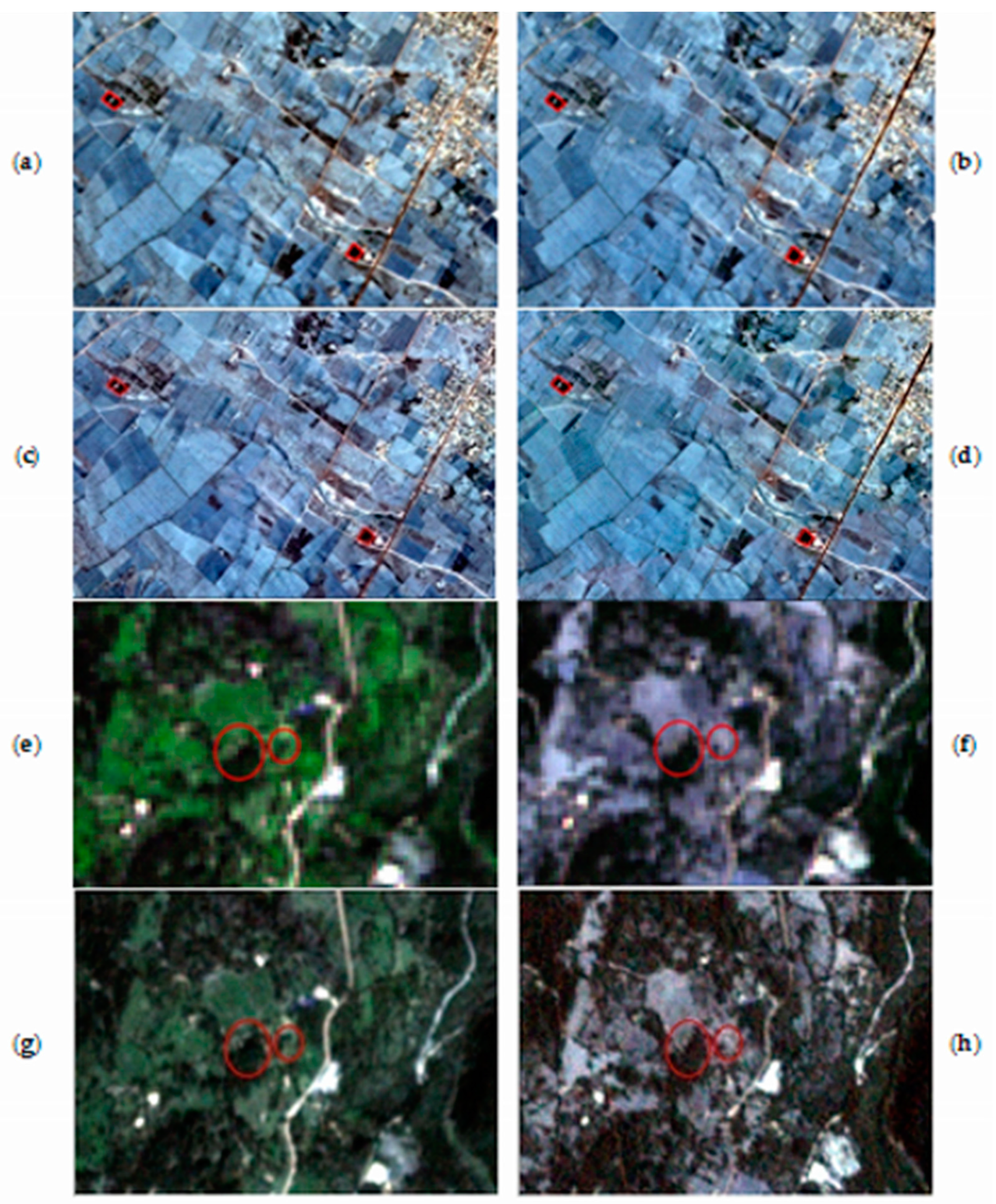 Agronomy 12 00090 g003