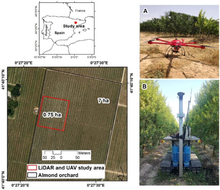 Agronomy 12 00102 g001