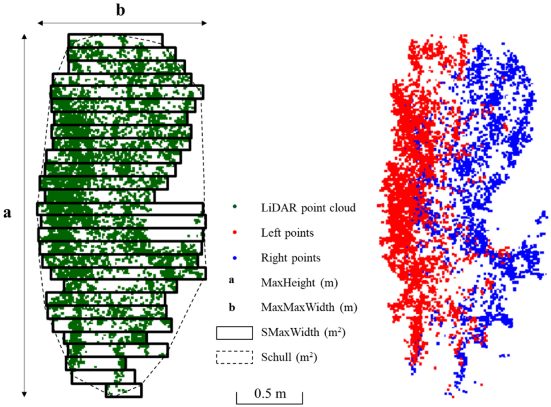 Agronomy 12 00102 g003
