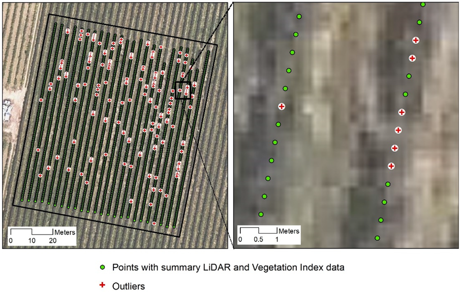 Agronomy 12 00102 g005
