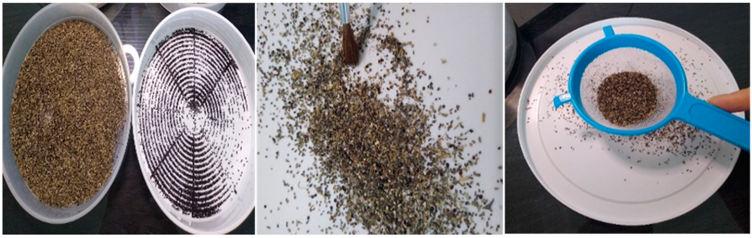 Agronomy 12 00103 g002