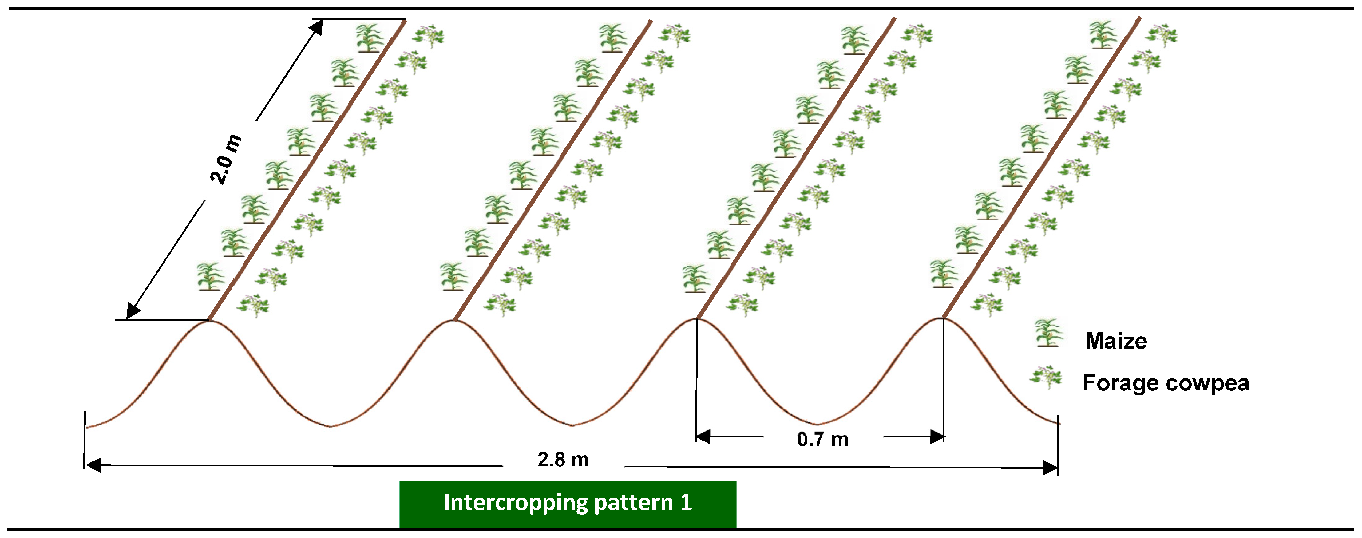 Agronomy 12 00107 g002a