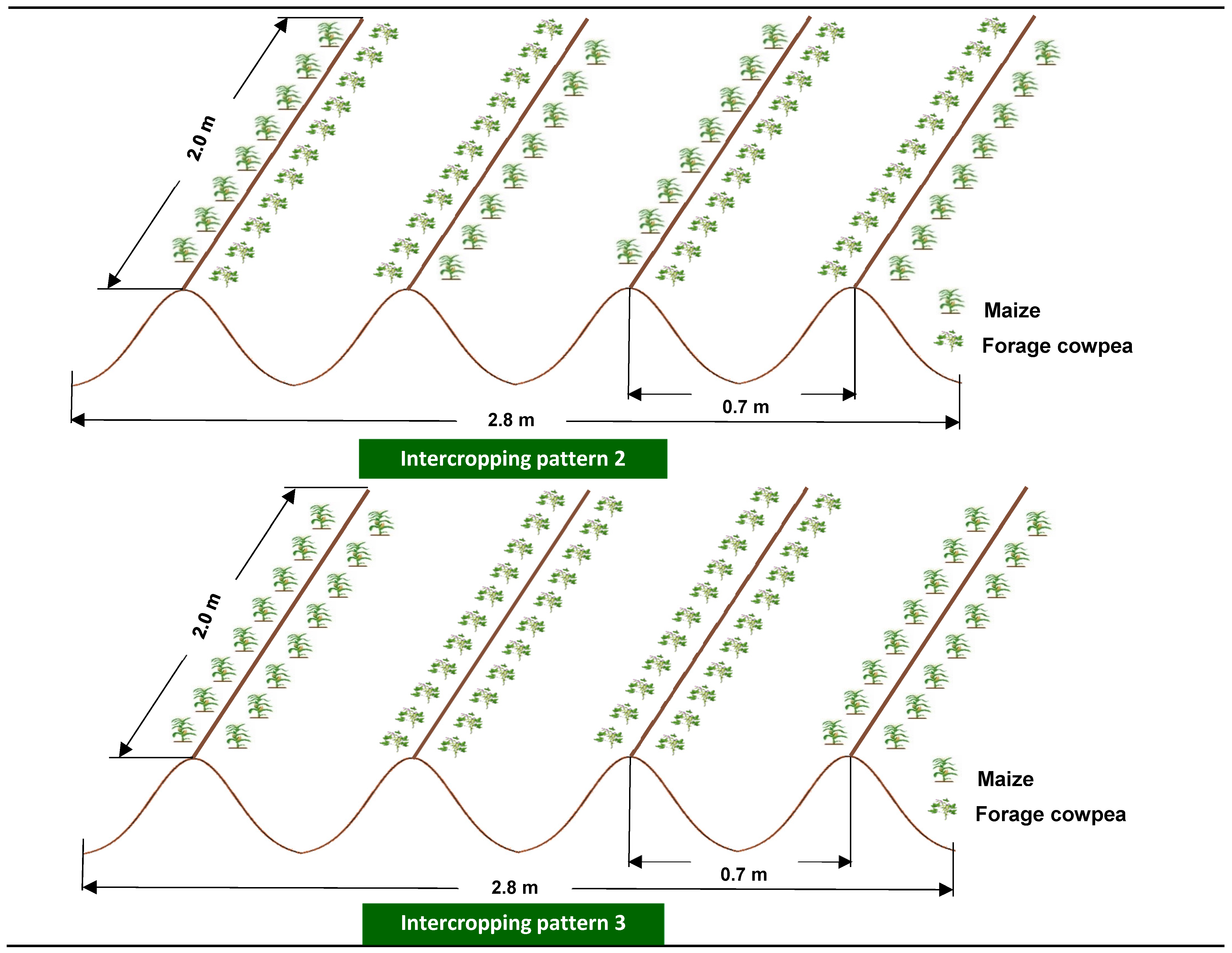 Agronomy 12 00107 g002b