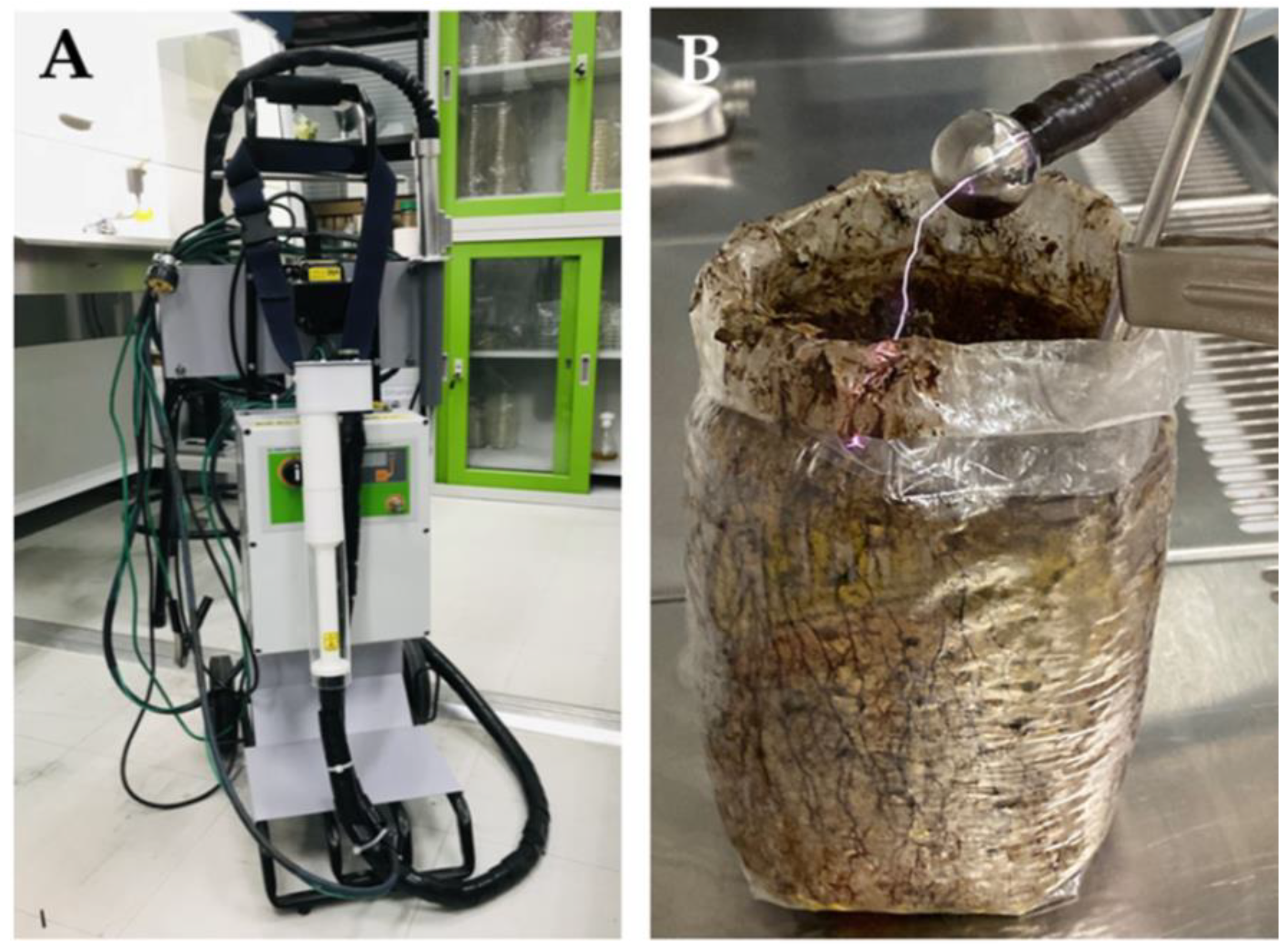 Agronomy 12 00115 g002